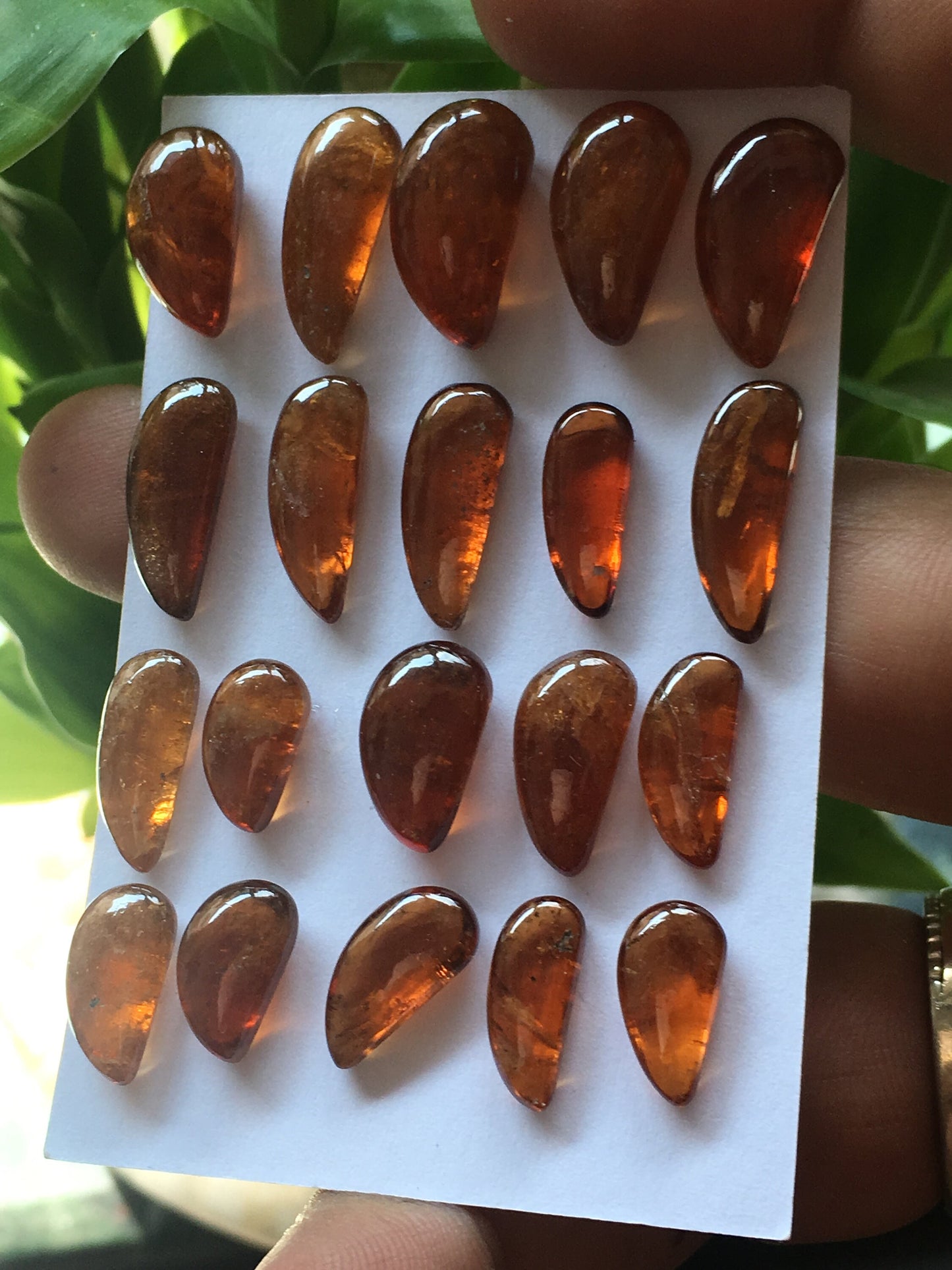 Attractive Hessonite tusks wholesale lot pcs 20 weight 117.75 carats size 12x7mm to 16.3x8.5mm Hessonite garnet tusks for pendants