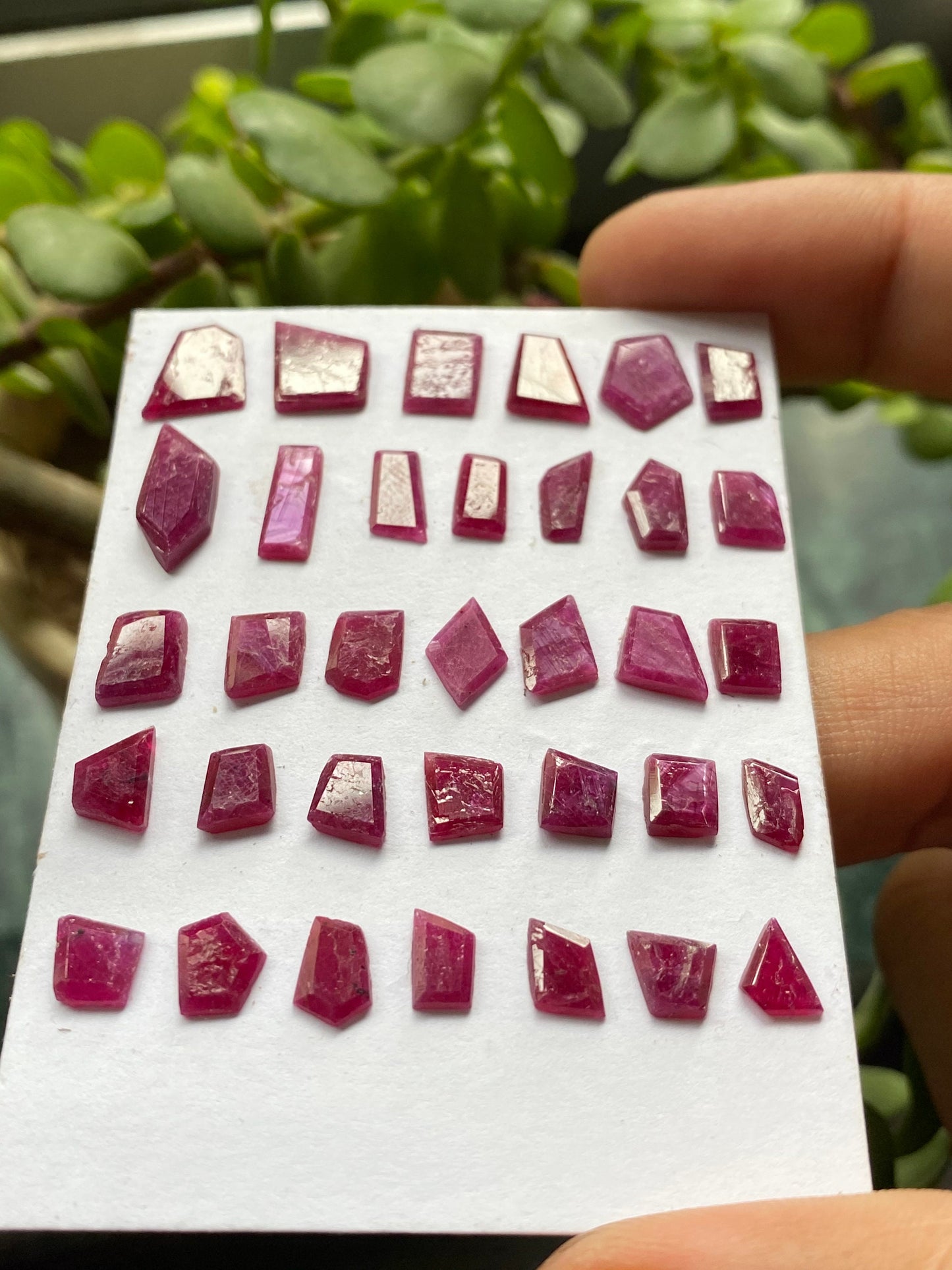 Natural ruby flats irregular pointed shapes side faceting flats blood red ruby natural pcs 34 wt 28.75 cts size 5.8x5.7mm-14.2x6.1mm ruby