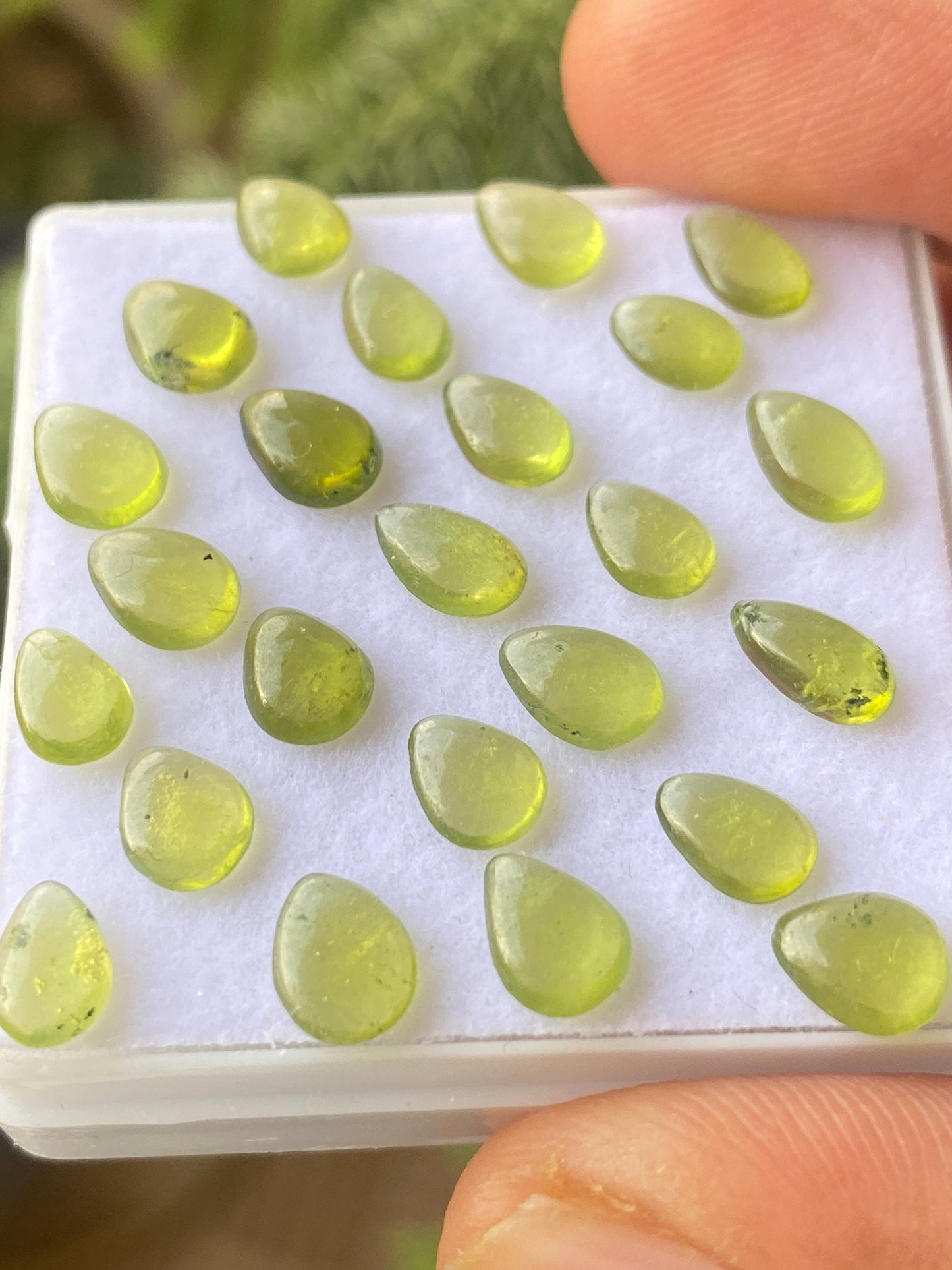 Dazzling fine quality peridot cabochons ovals wholesale lot weight 12.30 carats size 7x5mm pieces 24 peridot cabochons