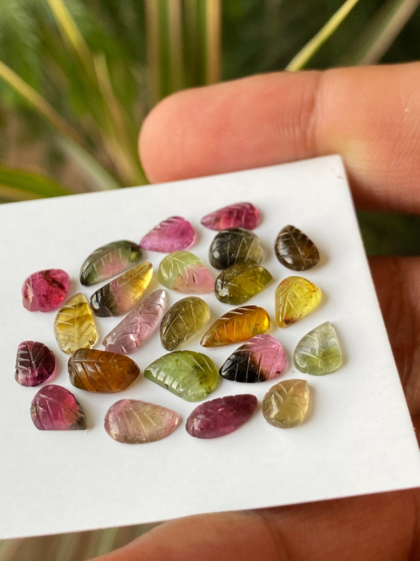 Vivacious Bicolor Watermelon tourmaline leaves carving  multi tourmaline carvings wt 19 carats pcs 23 size 6x4mm-12x4mm tourmaline leaves