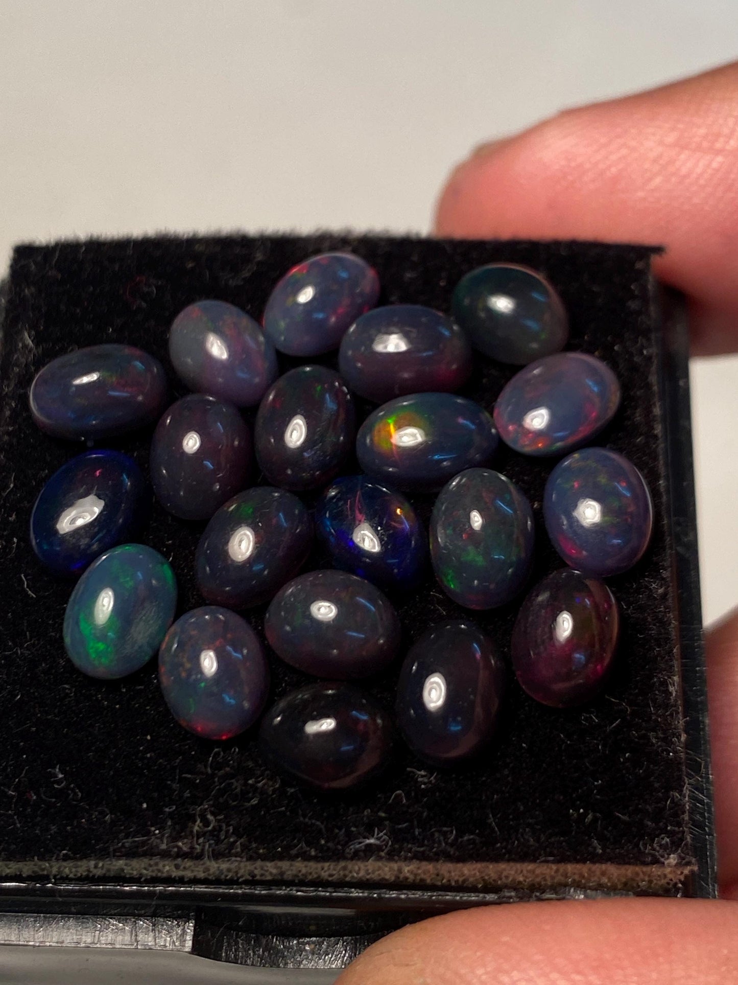 Vivacious Black opal (smoked) Natural Fire opal cabochons lot size wt 12.40 cts size 7x5mm pcs 20  opal cabochon fire black opals cabochons