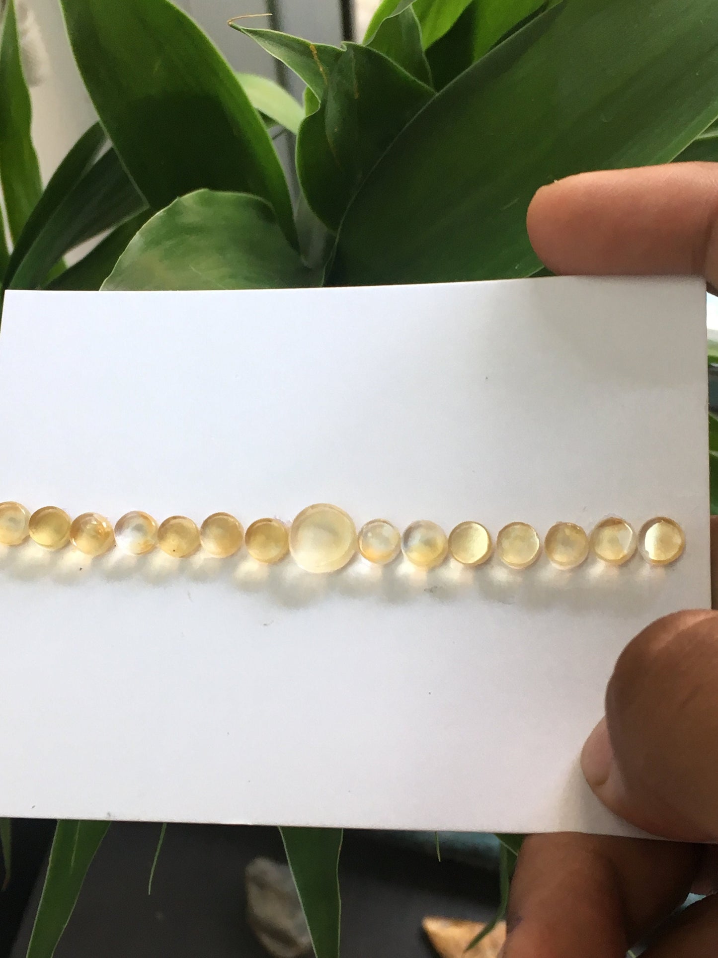 citrine  round coin cabochons bracelet wt 18.10 cts pcs 15 size 6.2mm to 9.5mm round coin shape gems supply