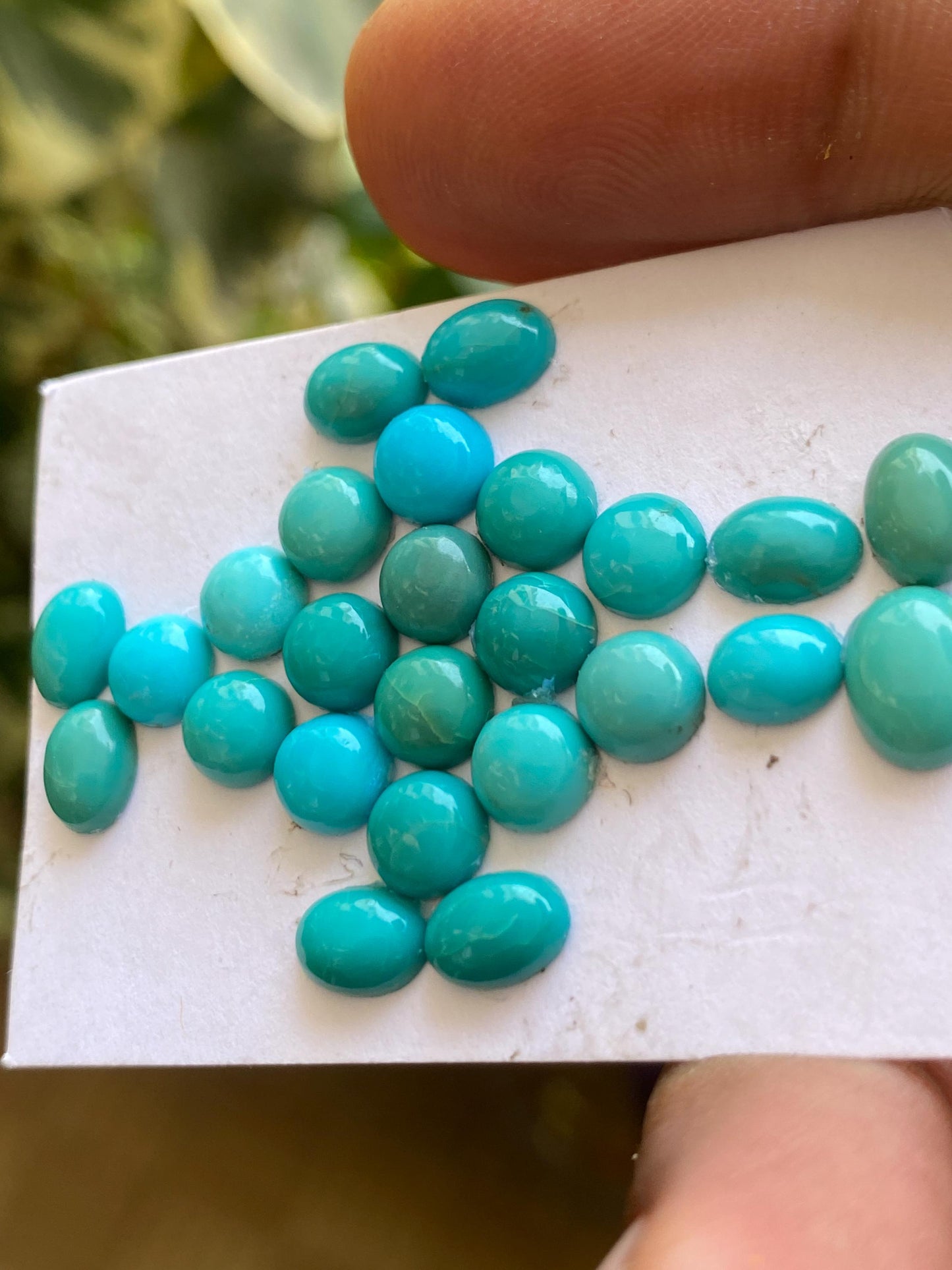 Rare Arizona mines Turquoise oval cabochons  natural smooth pcs 25 wt 19.10 cts 6.3x5.1mm-8.3x6.2mm sleeping beauty turquoise cabochons