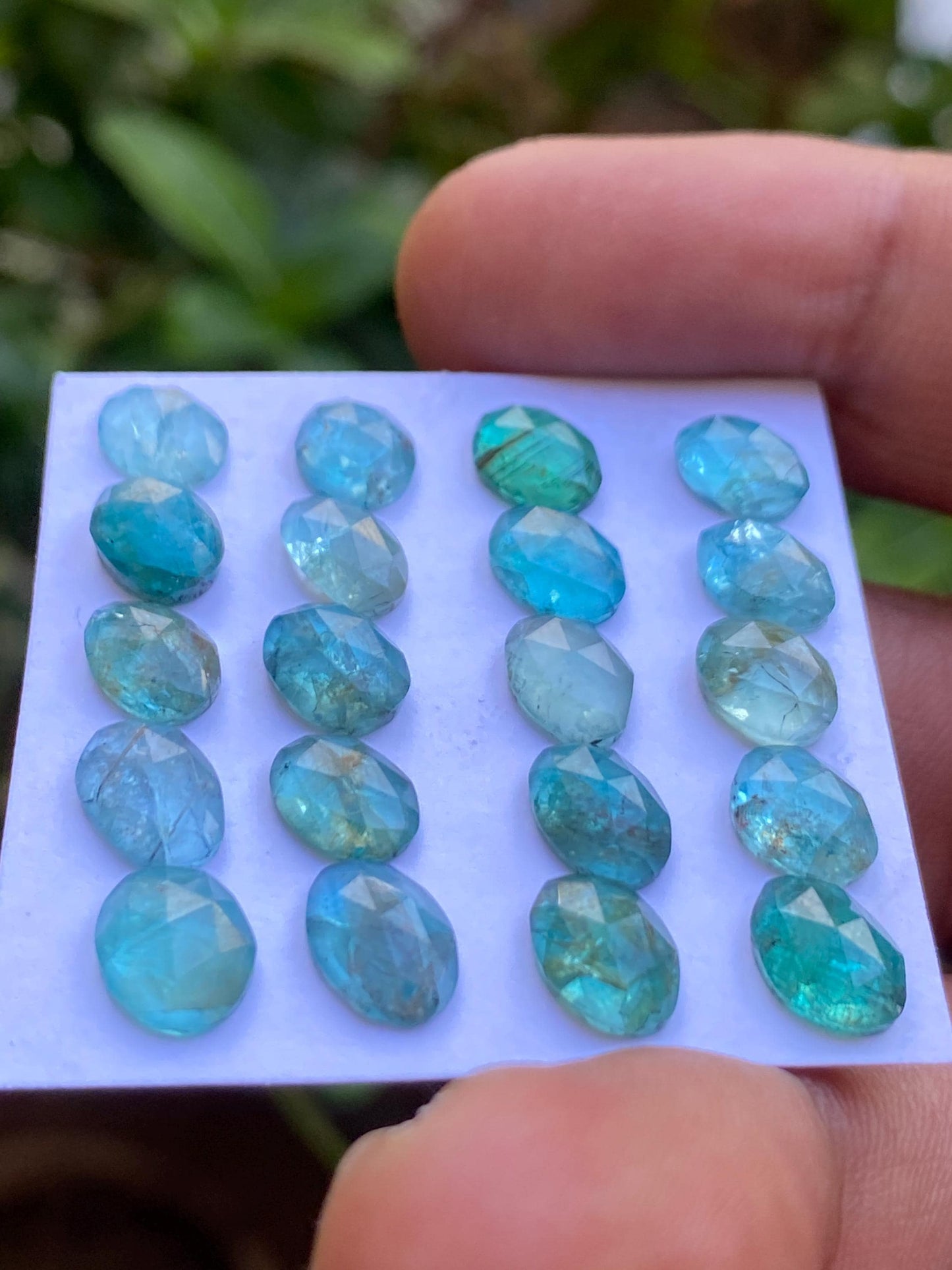 Gorgeous Blue green apatite rosecut wholesale lot weight 25.35 cts pcs 20 rosecut blue apatite flats Small size 7x6mm-9x6mm apatite rosecut