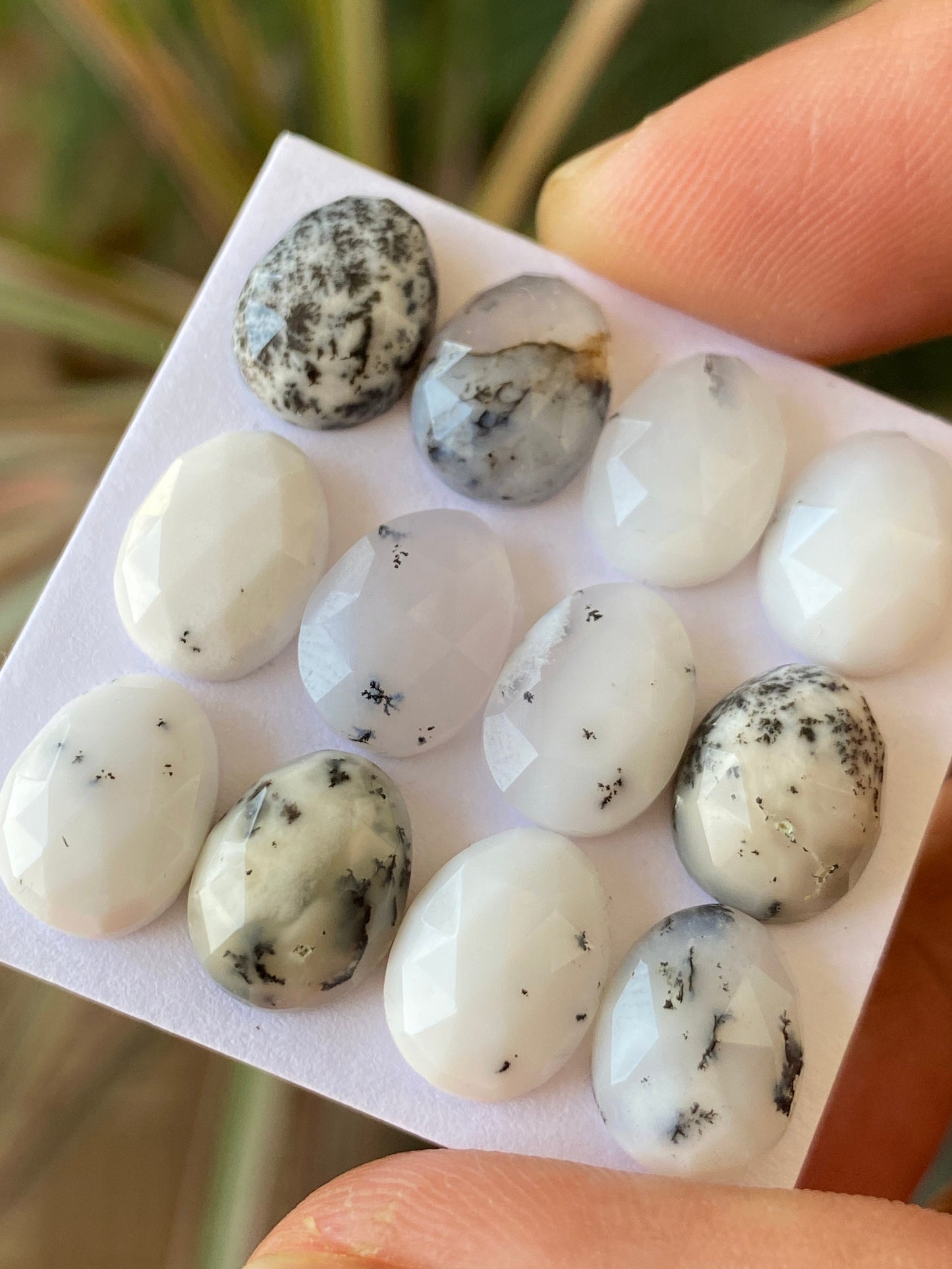 Amazing rare fancy dendrite agate egg shape rosecut flats wt 44 carats size 11x8mm-12x9mm pcs 12 rosecut gems