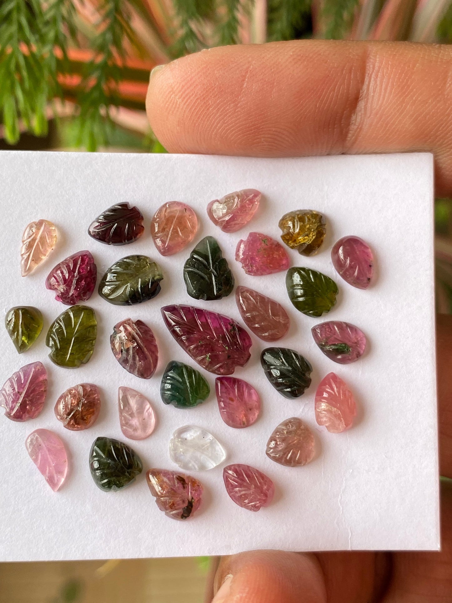 Watermelon tourmaline  leaves carving  multi tourmaline carvings wt 26 cts pcs 30 size 6x4mm-13x7mm tourmaline leaves