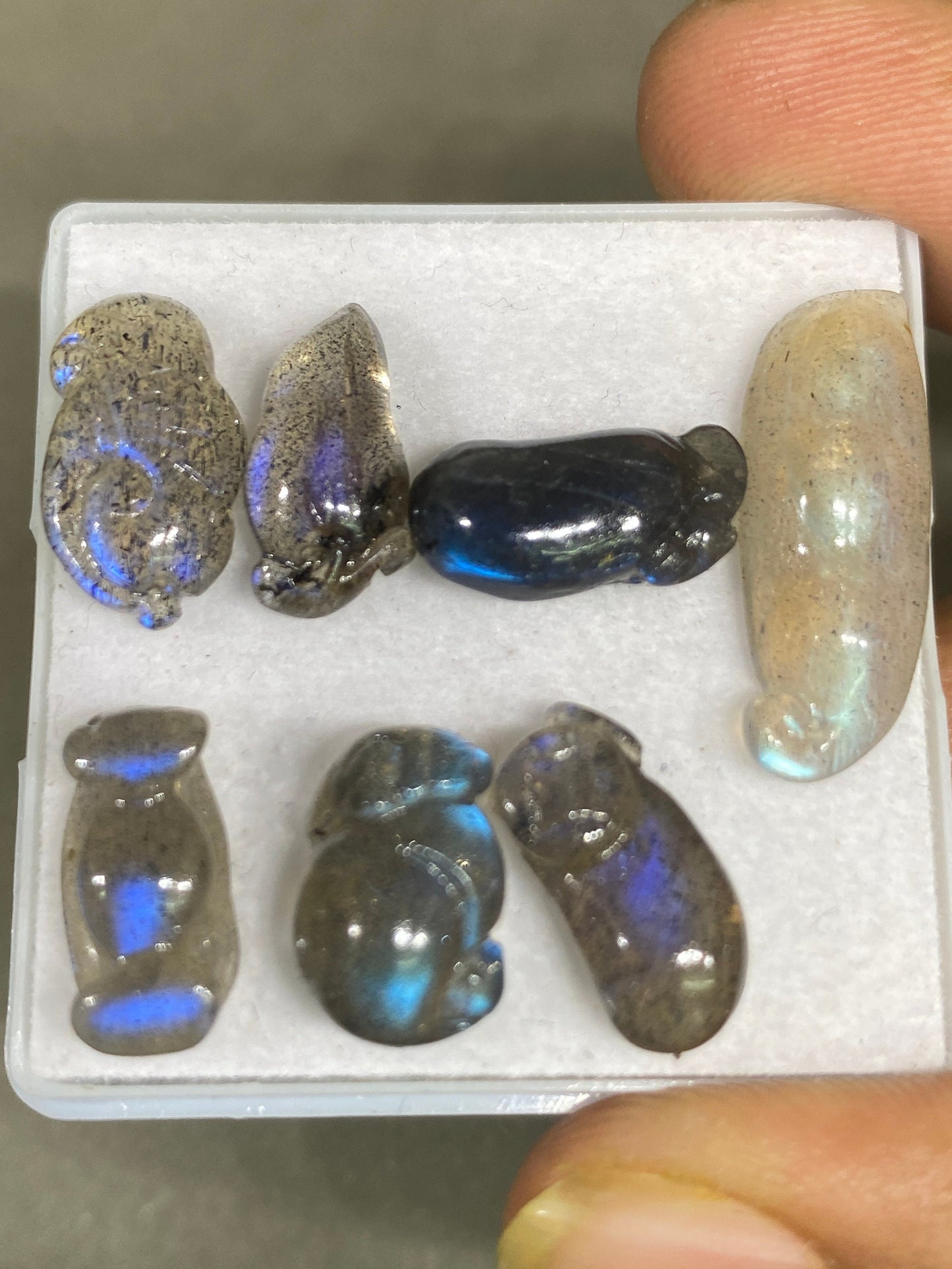 Blue fire labradorite mix carving mouse brinjal tamarind blue fire smooth polished pcs 7 wt 34 cts size 19x12-23x8mm labradorite carving