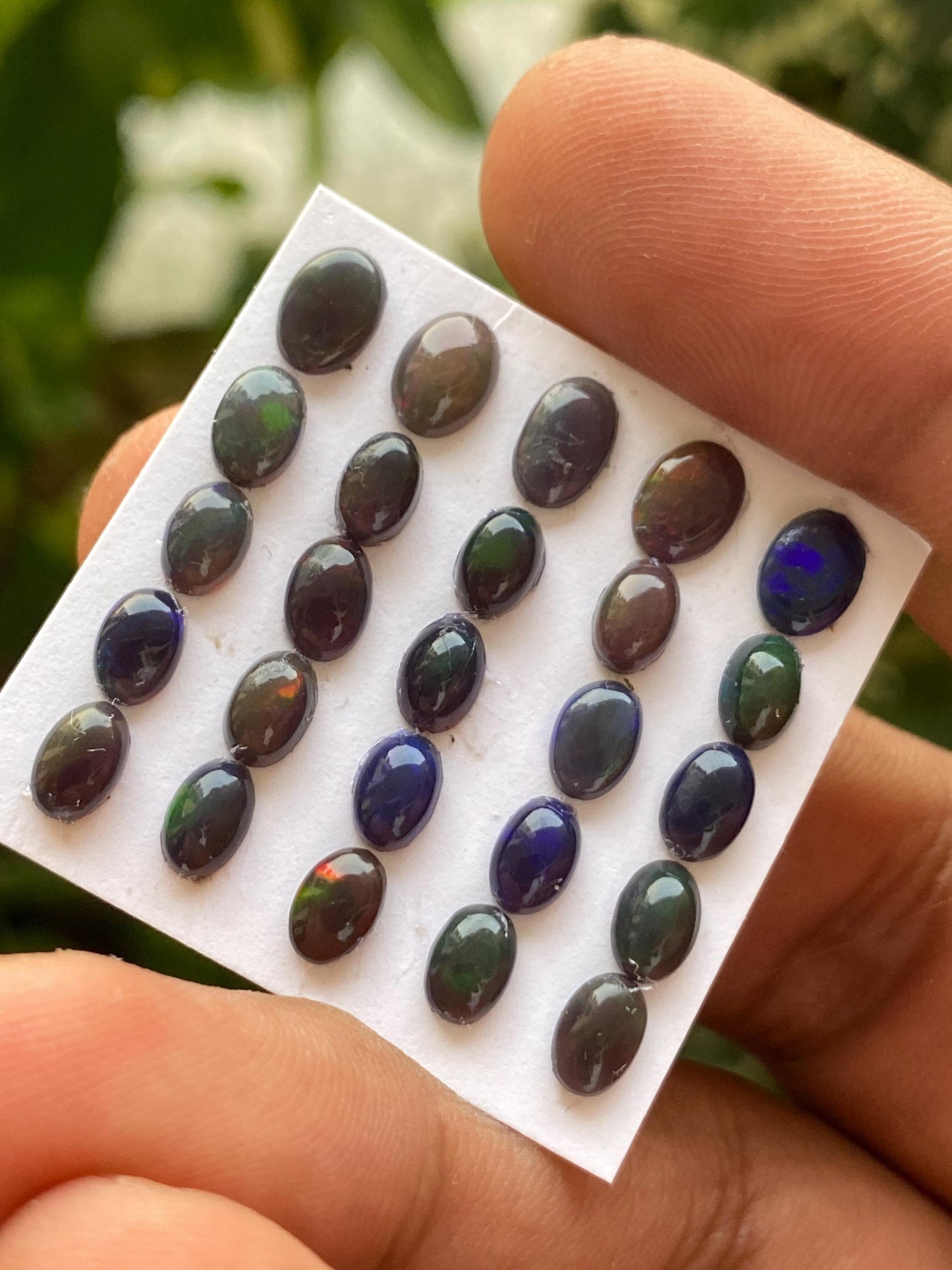 Stunning Black opal (smoked) Natural Fire opal cabochons lot size wt 8.5 cts size 6x4-7x5mm pcs 20 opal cabochon fire black opals cabochons