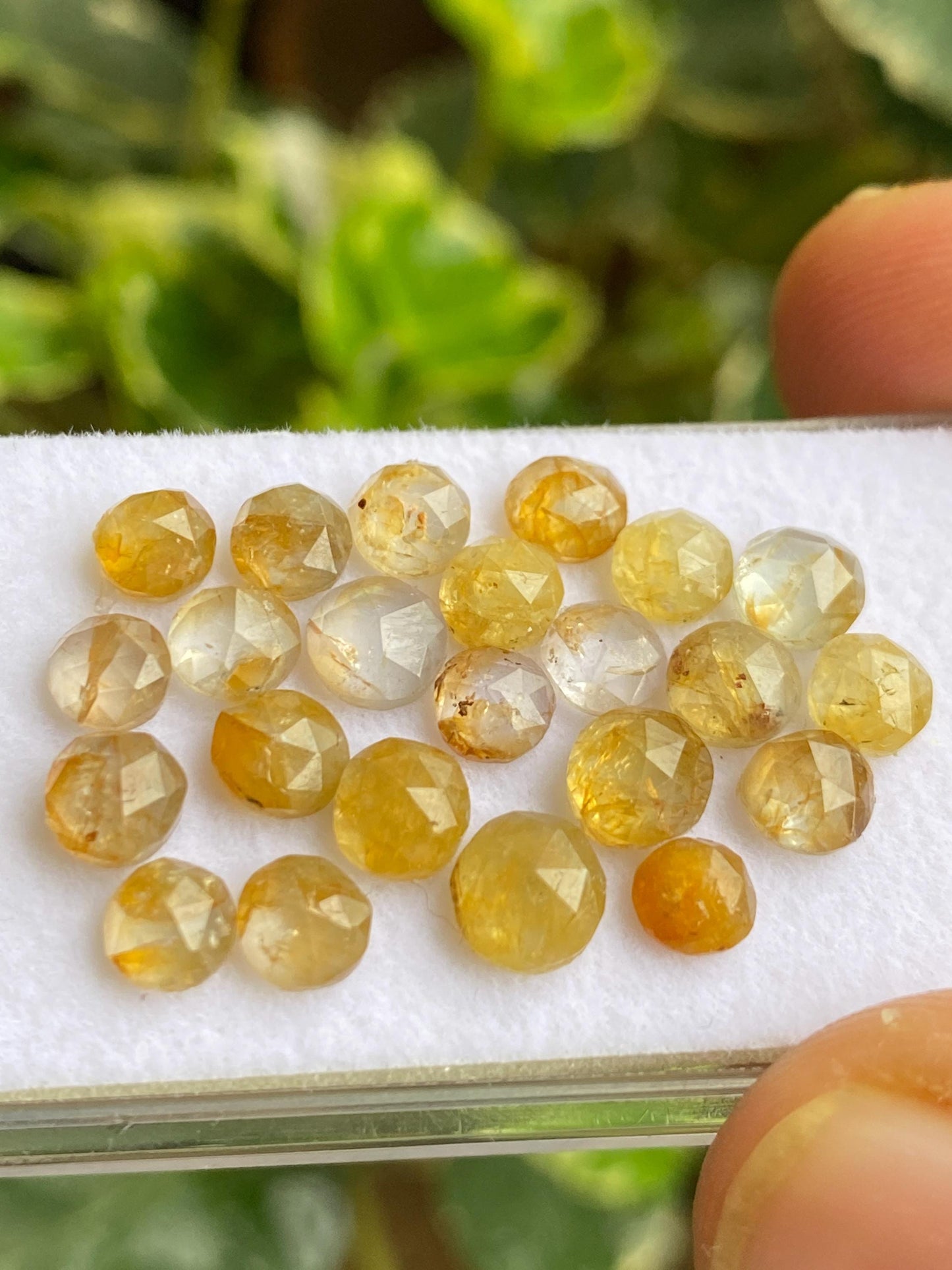 Fabulous very rare Kenya mines Bicolor yellow sapphire Bicolor rosecut wt 19 carats pcs 23 size  4.8mm-6mm sapphire round rosecut gems