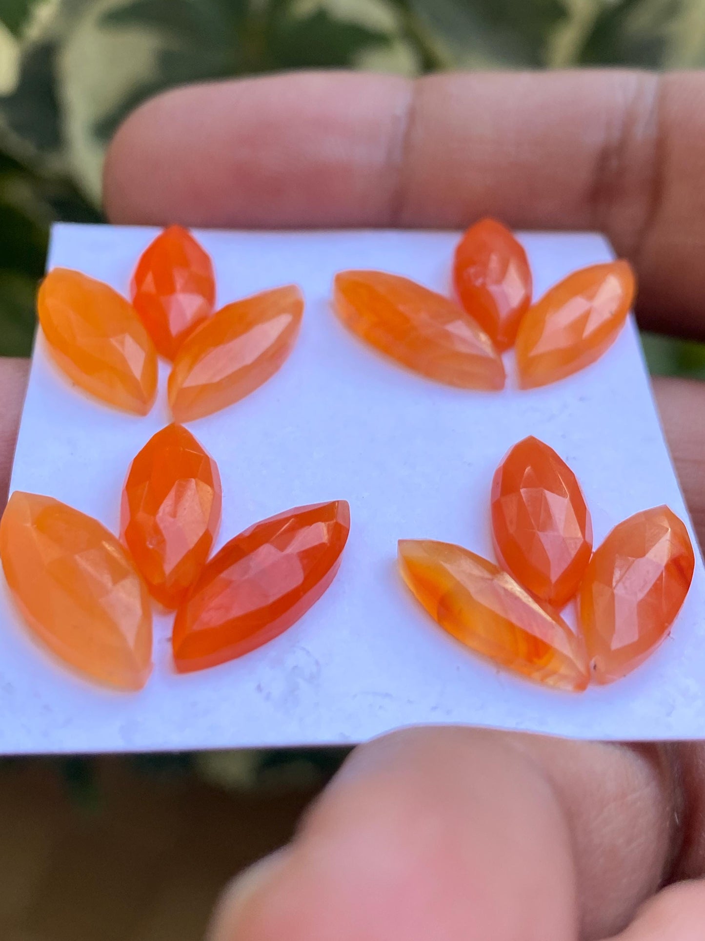 Beautiful Carnelian rosecut marquise big pcs 12 wt 37.60 carats size 15.7x5.3mm-18x7.5mm aaa quality marquise shapes carnelian cabochons