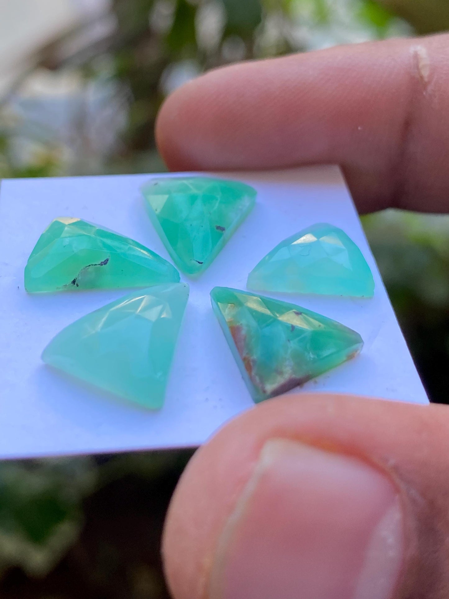 Scintillating Chrysoprase rosecut trillion fancy wholesale lot fine quality wt 15.50 carats pcs 5 size 11x9-14x11mm chrysoprase rosecut