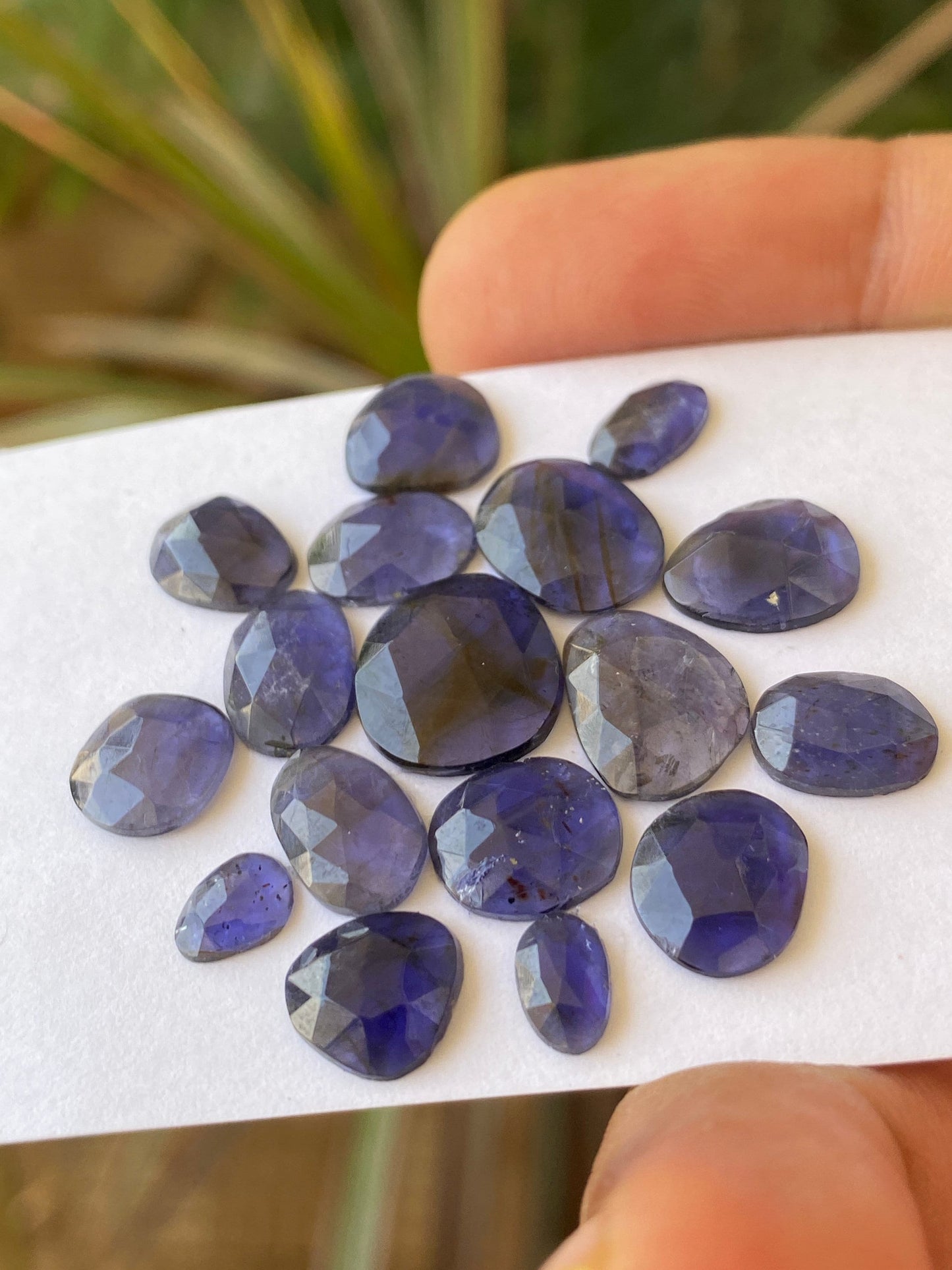 Beautiful Rare iolite rosecut wholesale lot fine quality weight 21 carats size 6x5mm-12x11mm pcs 17 iolite rosecut