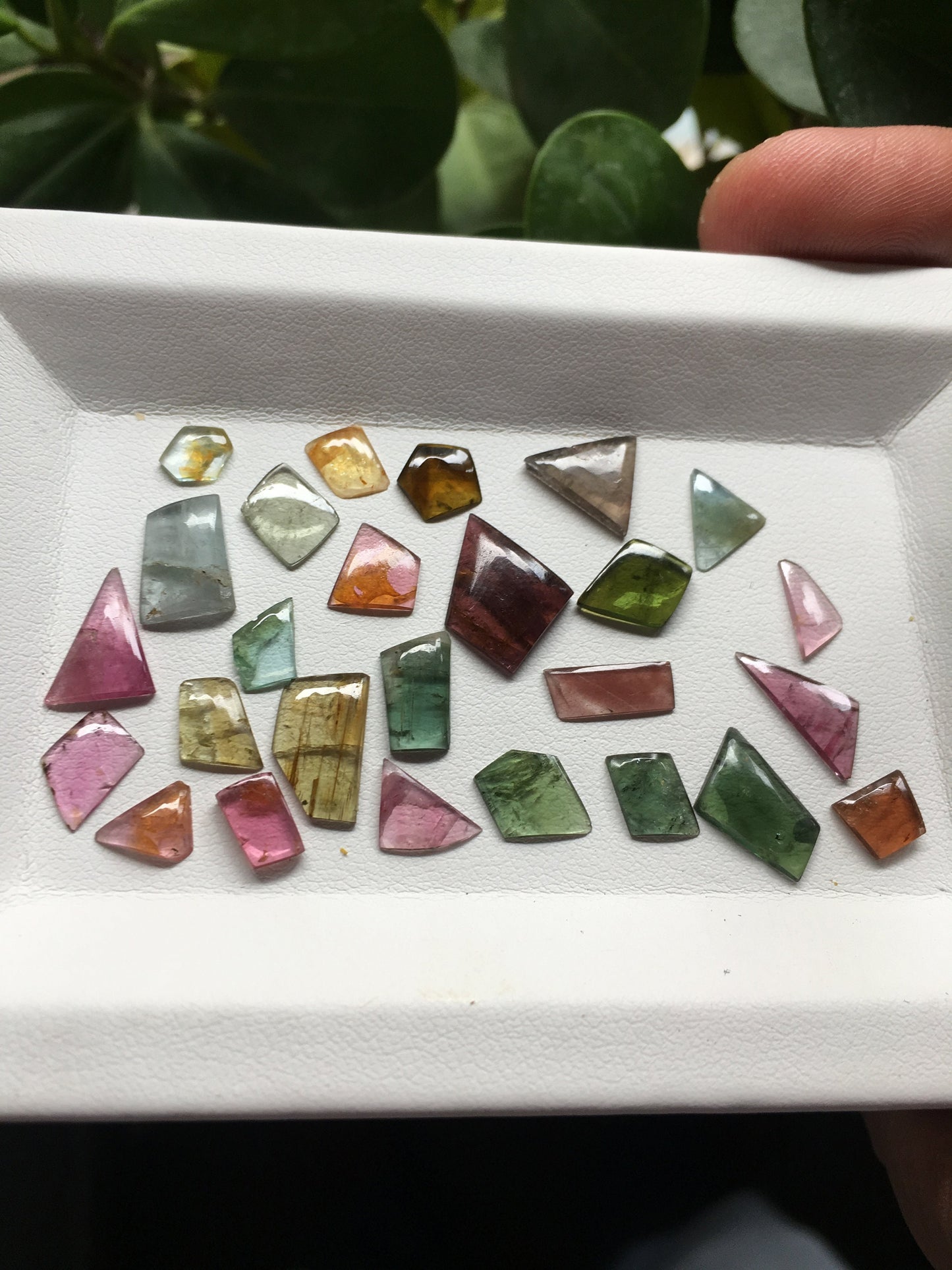 Amazing geometric shape smooth polished watermelon tourmaline flatbacks 6.4x5.3mm to 11.4x9.3mm 21 carats 26 Pcs