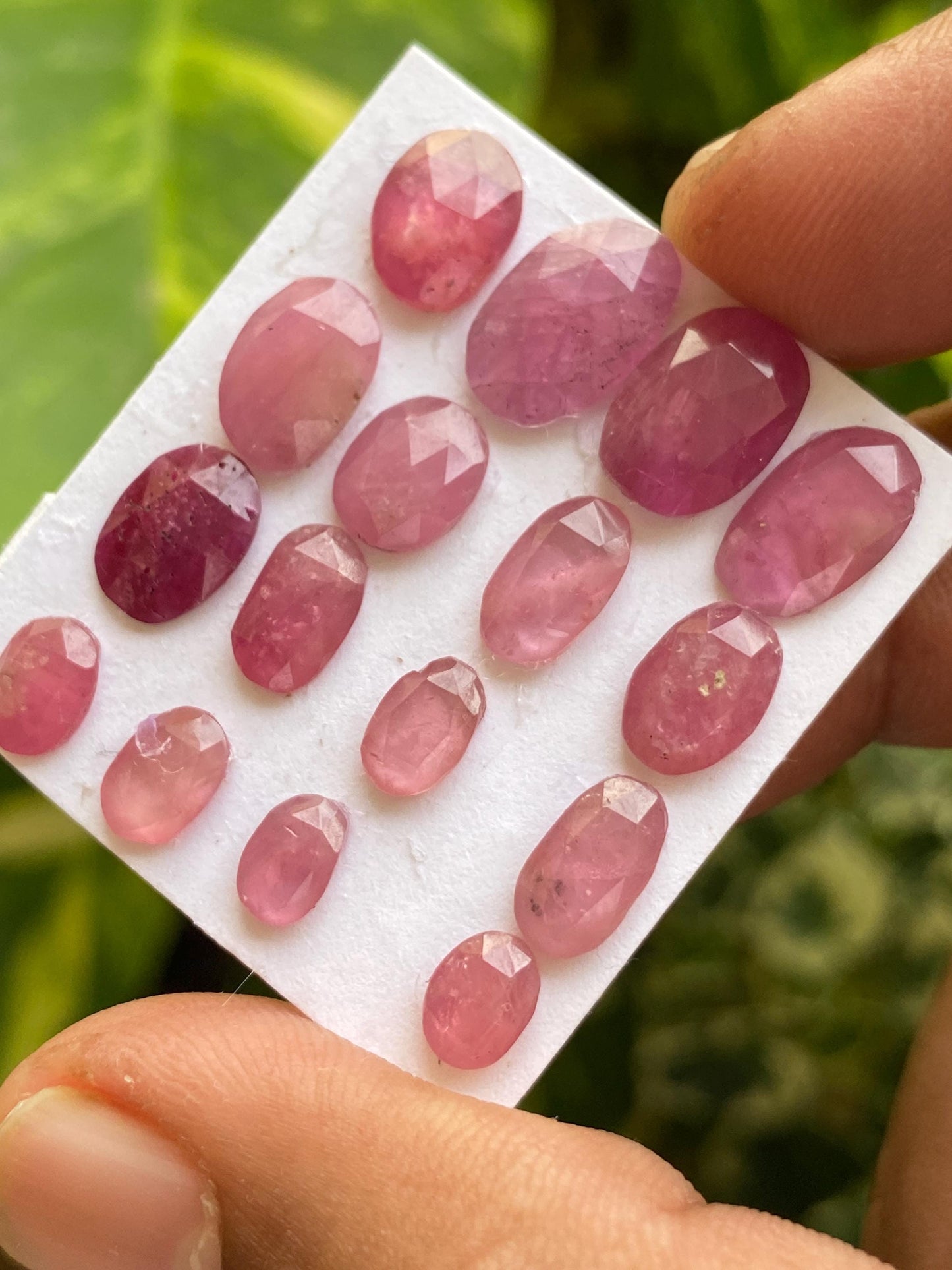 Amazing Rare natural mozambique ruby rosecut lot  mix shapes pcs 16 wt 25.70 cts size 7x4.5mm-12.5x8mm  unheated untreated ruby rosecut