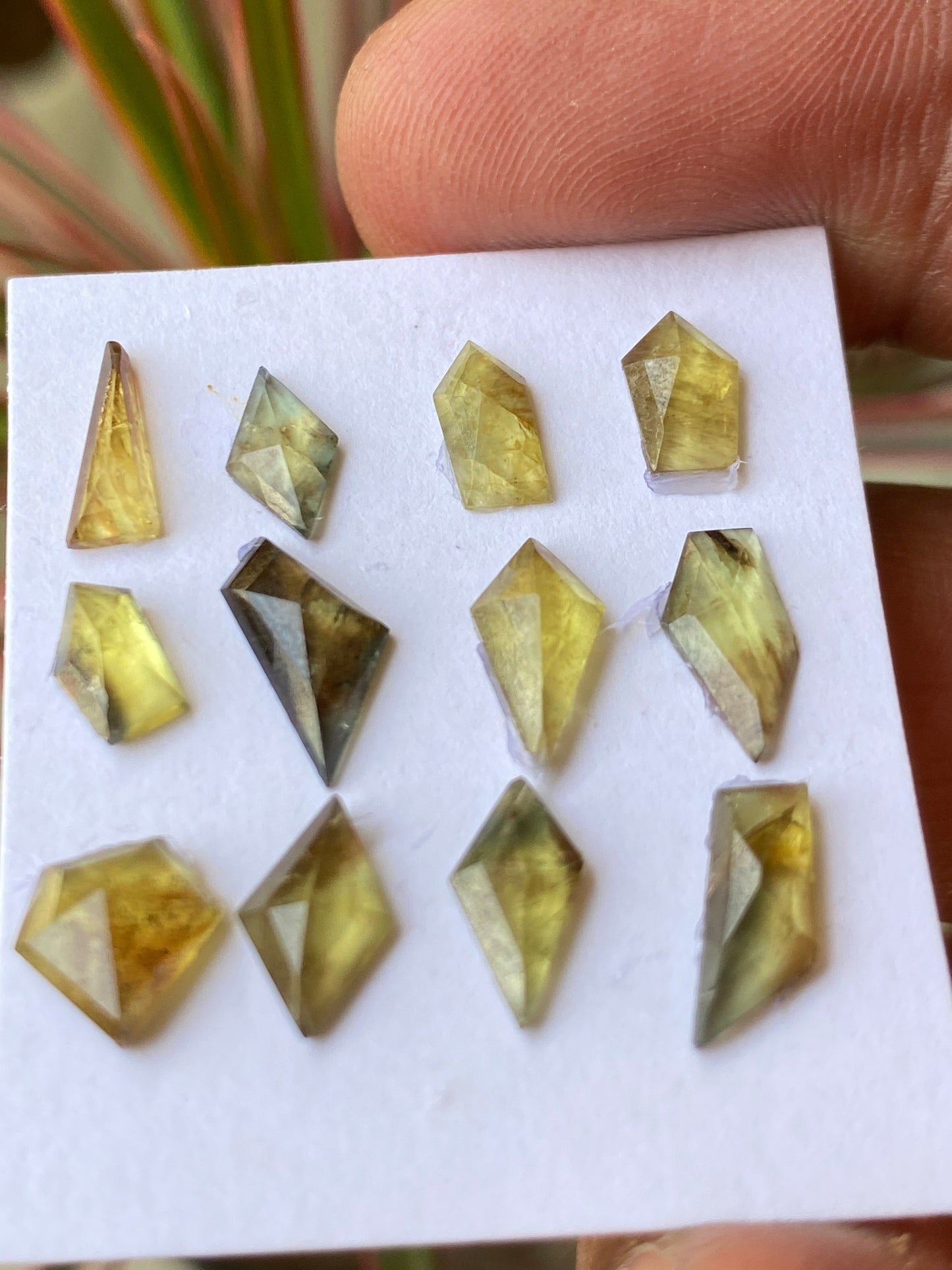 Mesmerising very rare Tanzania mines small yellow sapphire Bicolor geometric wt  carats pcs 12 size 5.5x4mm-9x7mm sapphire stepcut