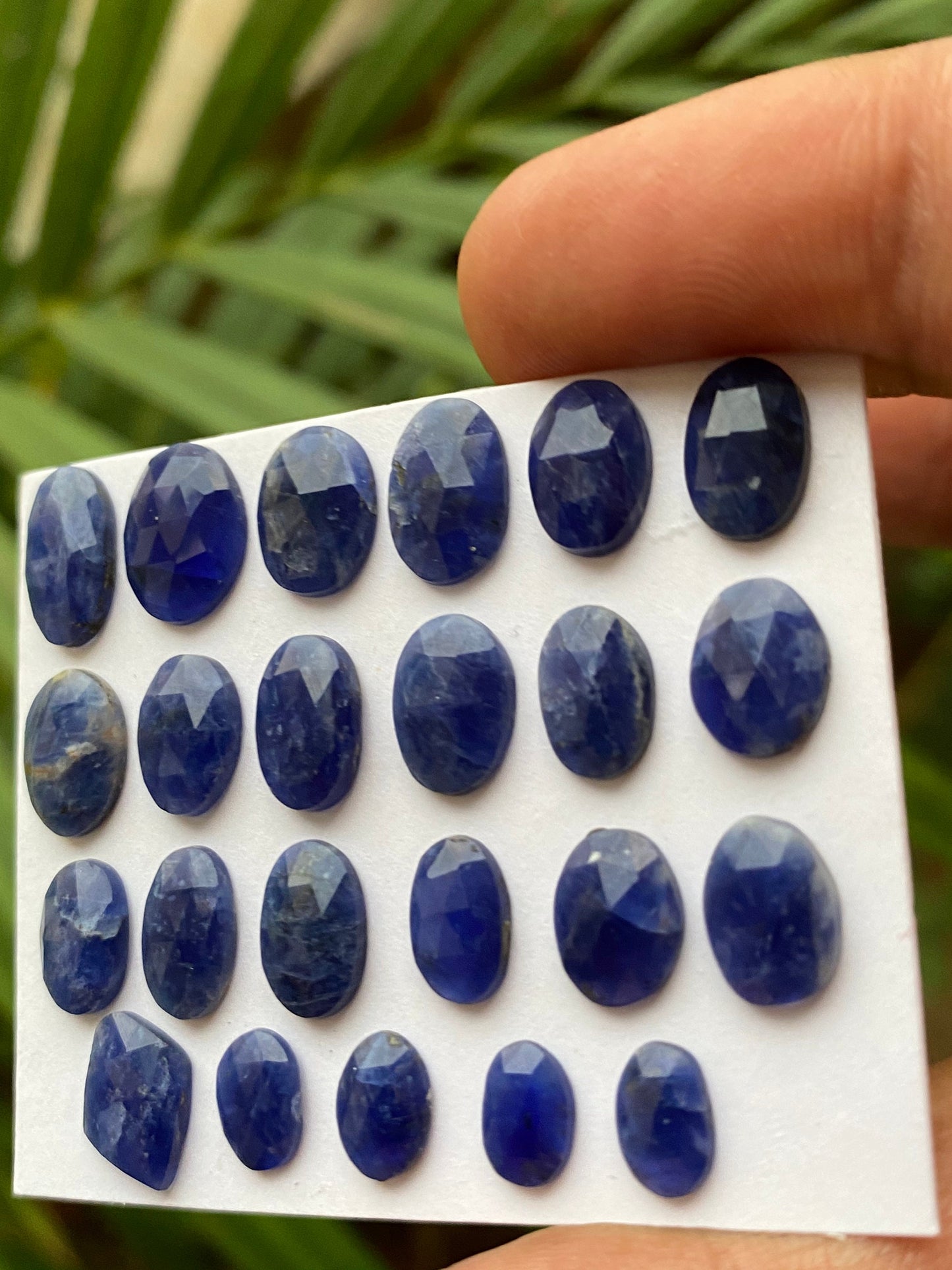 Fascinating Sodalite rosecut mixed shapes wt 25 carats  pcs 23 size 7.5x5-12x7mm natural Sodalite beautiful color Rare Sodalite rosecut