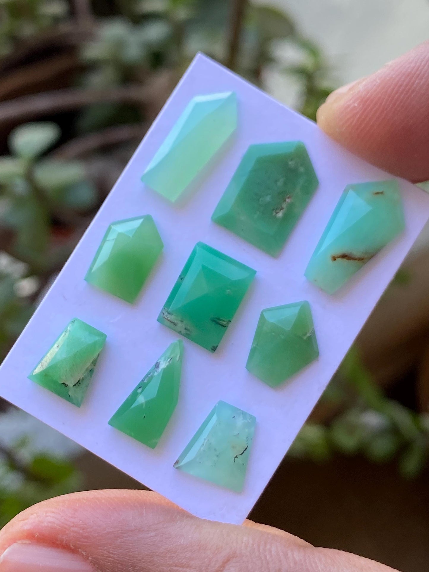 Vivacious chrysoprase  Geometric stepcut wholesale lot Pcs 9 weight 14 carats size  8.3x6.8mm-13.7x8.9mm chrysoprase stepcut