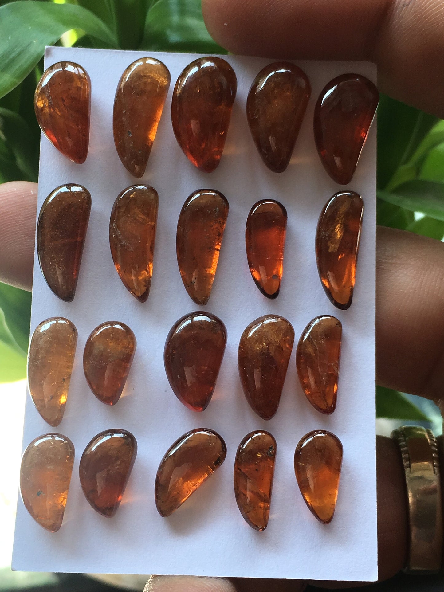 Attractive Hessonite tusks wholesale lot pcs 20 weight 117.75 carats size 12x7mm to 16.3x8.5mm Hessonite garnet tusks for pendants