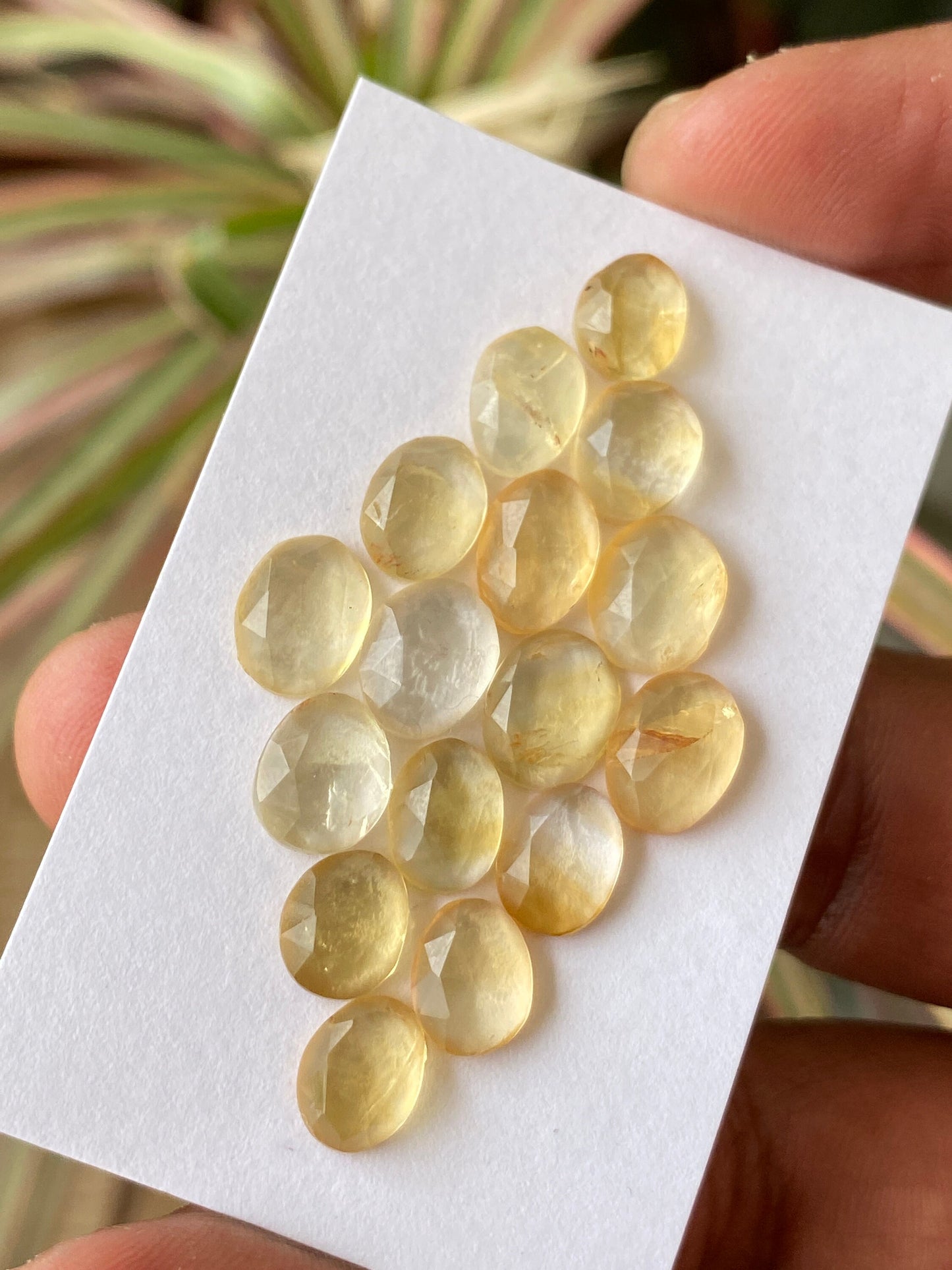 Amazing rare Citrine rosecut ovalish egg shape wholesale lot pcs 16 wt 26 carats size 8.5x7mm-10x7mm natural citrine rosecut flatback