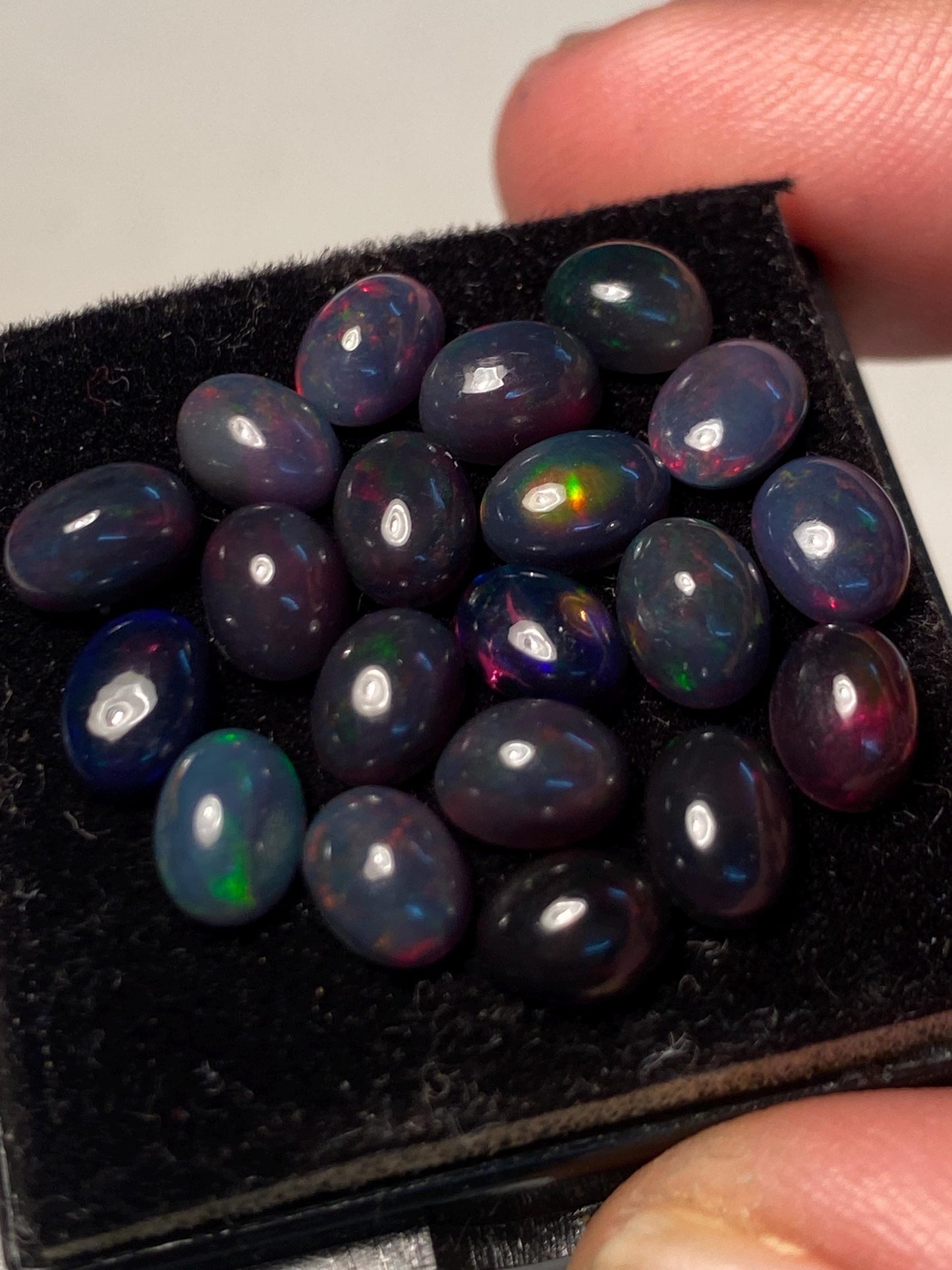 Vivacious Black opal (smoked) Natural Fire opal cabochons lot size wt 12.40 cts size 7x5mm pcs 20  opal cabochon fire black opals cabochons