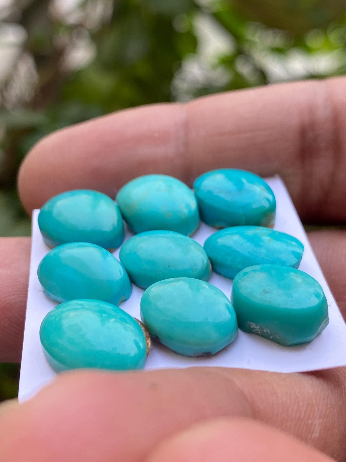 Gorgeous rare Arizona  mines Turquoise cabochons  natural smooth polished ovals pcs 9 wt 46.50 carats 12x9-14x10mm turquoise cabochons