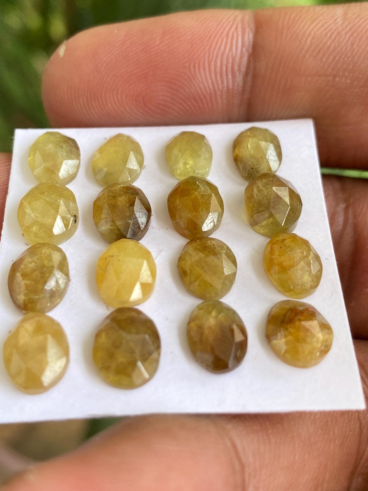 Stunning very rare Tanzania mines yellow sapphire Bicolor rosecut  wt 28 carats pcs 16 size  7x6-8.5x7mm sapphire rosecut gems