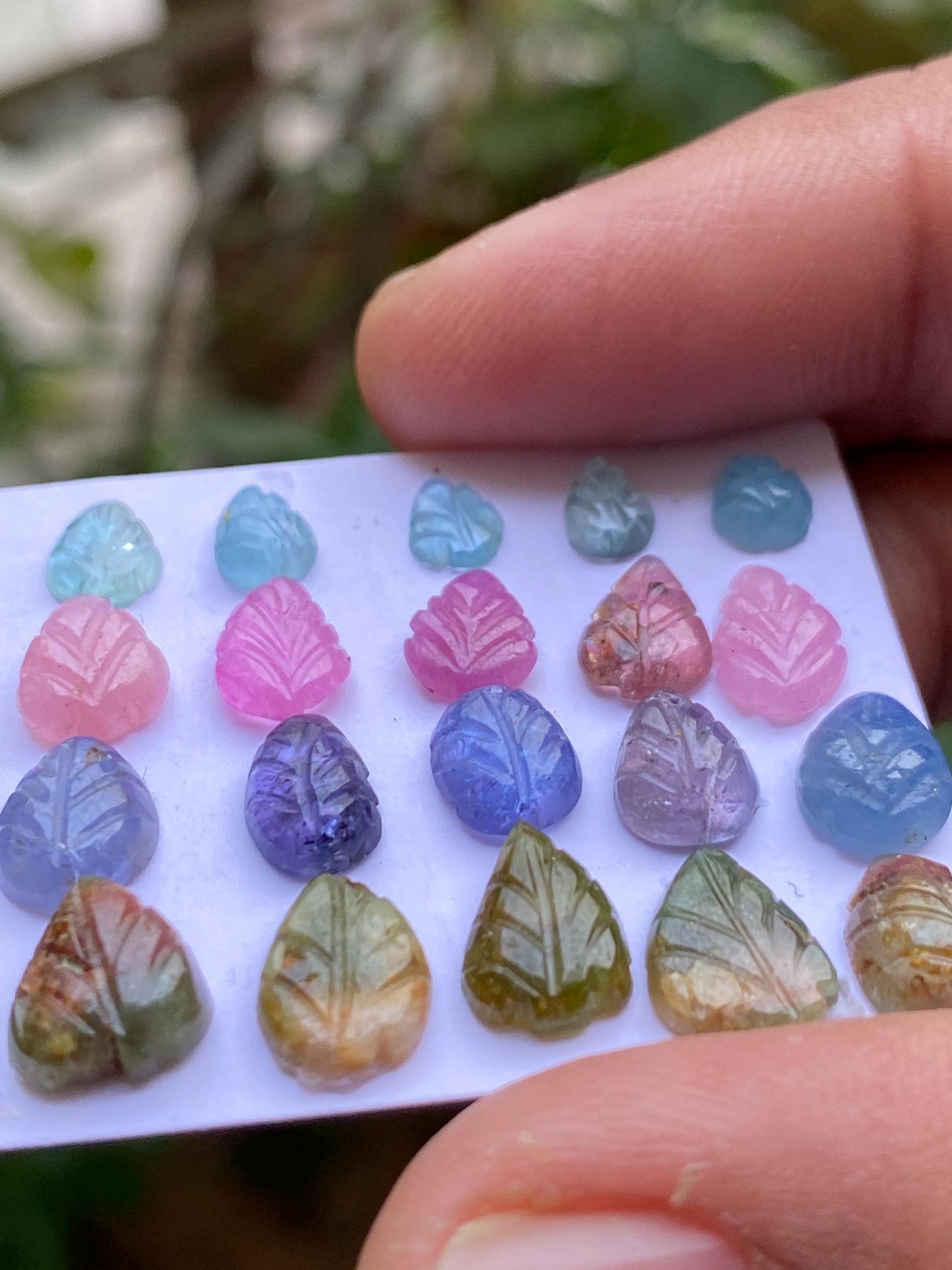 Attractive Watermelon tourmaline aquamarine pink sapphire tanzanite leaves carvings wt 25 carats pcs 20 size 6x5mm-9x8mm leaf carving