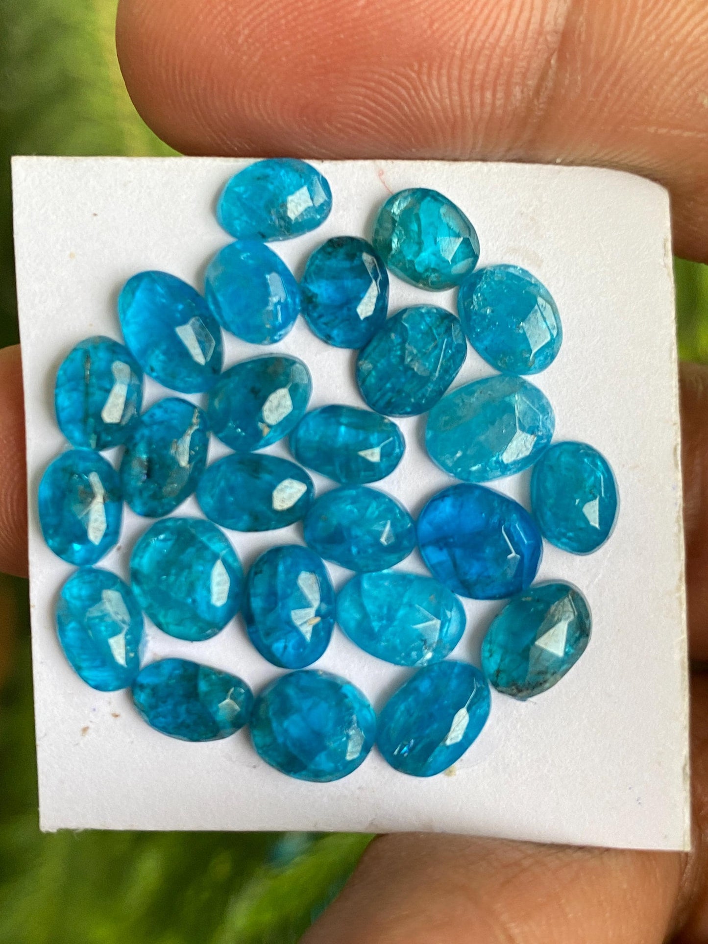 Fabulous Blue green apatite rosecut lot weight 25.5 carats pcs 25 rosecut blue apatite flats Small size 6.9x5.5mm-8x6mm apatite rosecut