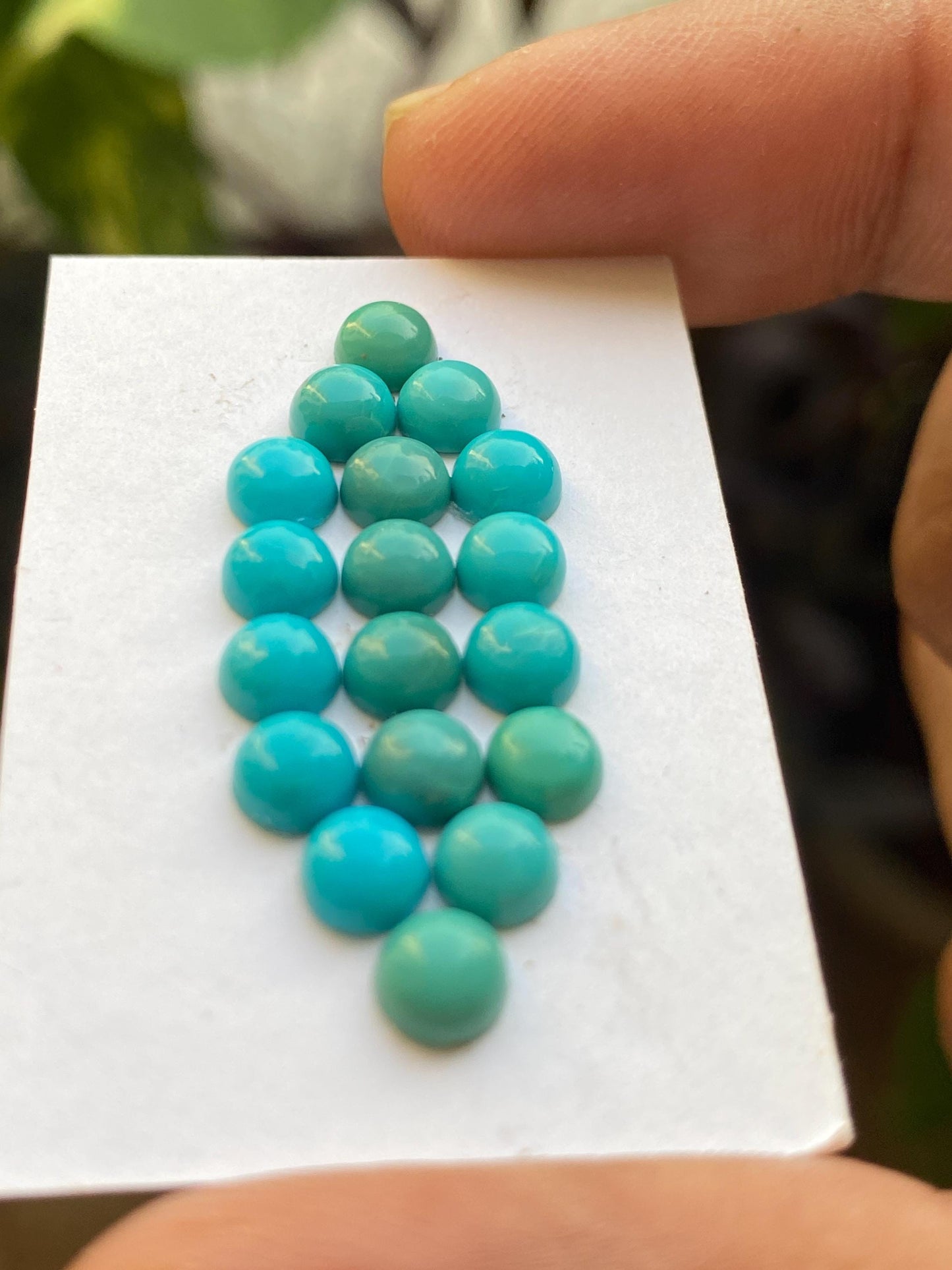 Cute Rare Arizona mines Turquoise round cabochons  natural smooth polished pcs 18 wt 7.85 carats 5 mm turquoise cabochons