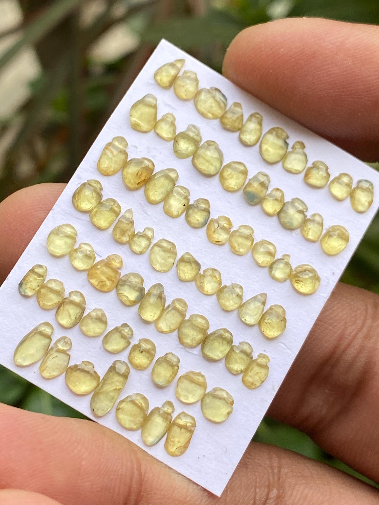 Vivacious drilled Nigerian  sapphire rosecut fine pcs 67 wt 13.25 cts size 3.5x3mm-7x3mm natural yellow sapphire rosecut pear shape rosecuts