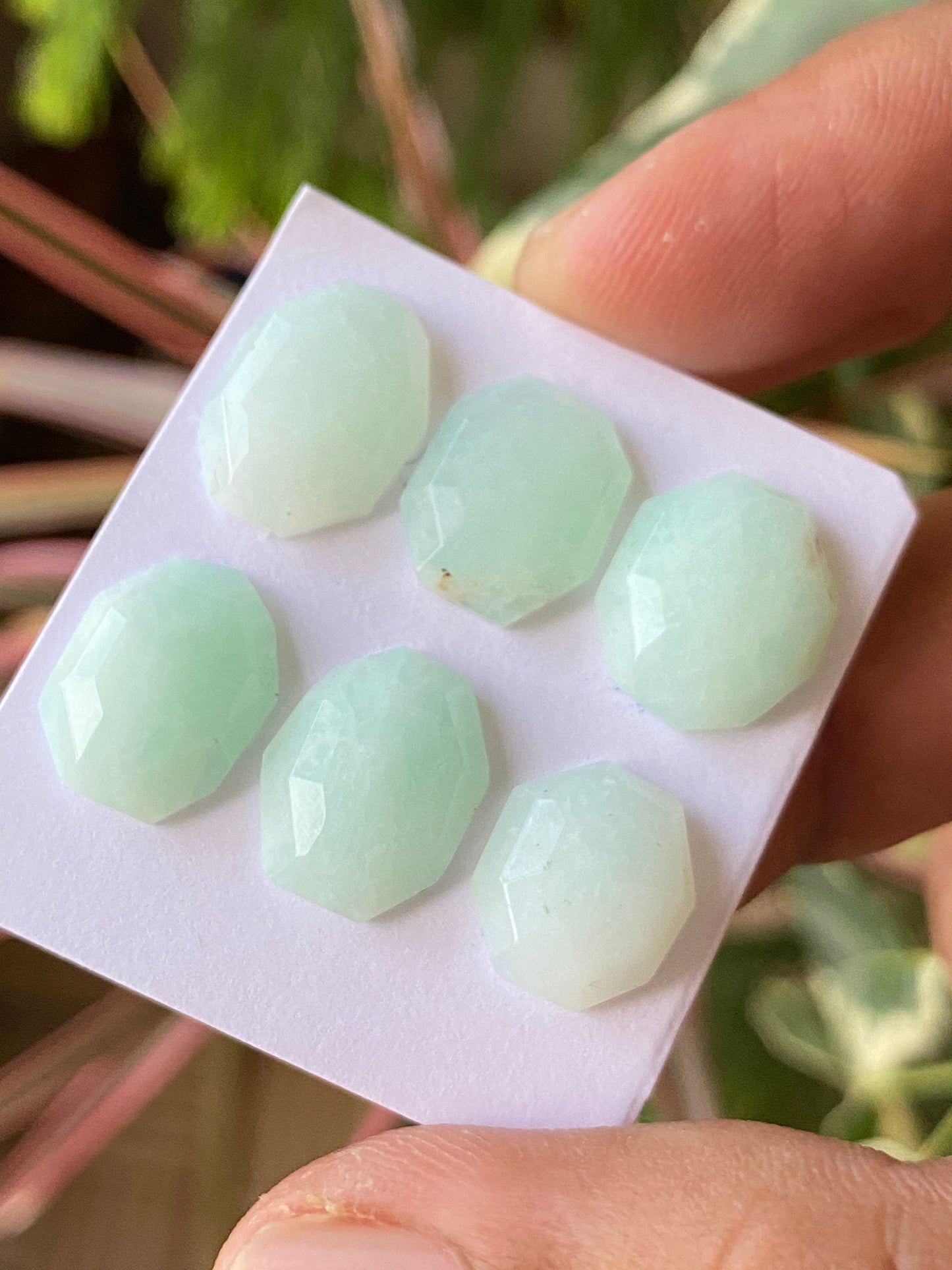 Nice rare mint green chrysoprase rosecut geometric oval shape pcs 6 wt 24 cts size 12x10mm-15x11mm rosecut chrysoprase round