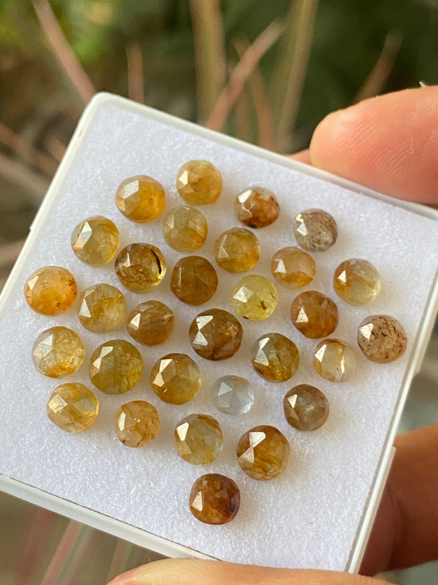 Extremely rare bi colo natural yellow sapphire tanzania mines wt 30 cts size 4.7mm-6mm pcs 30 rosecut sapphire lot Bicolor gems