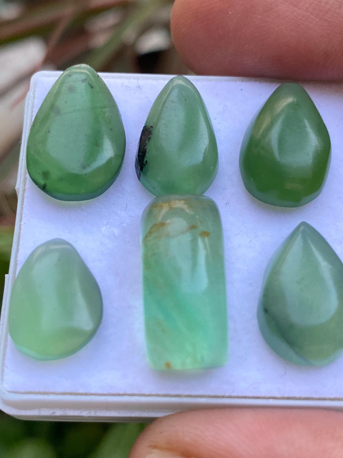 serpentine cabochons gems beautiful green cabochons pcs 6 wt 44.55 carats size  13x10-19x9mm serpentine cabochons