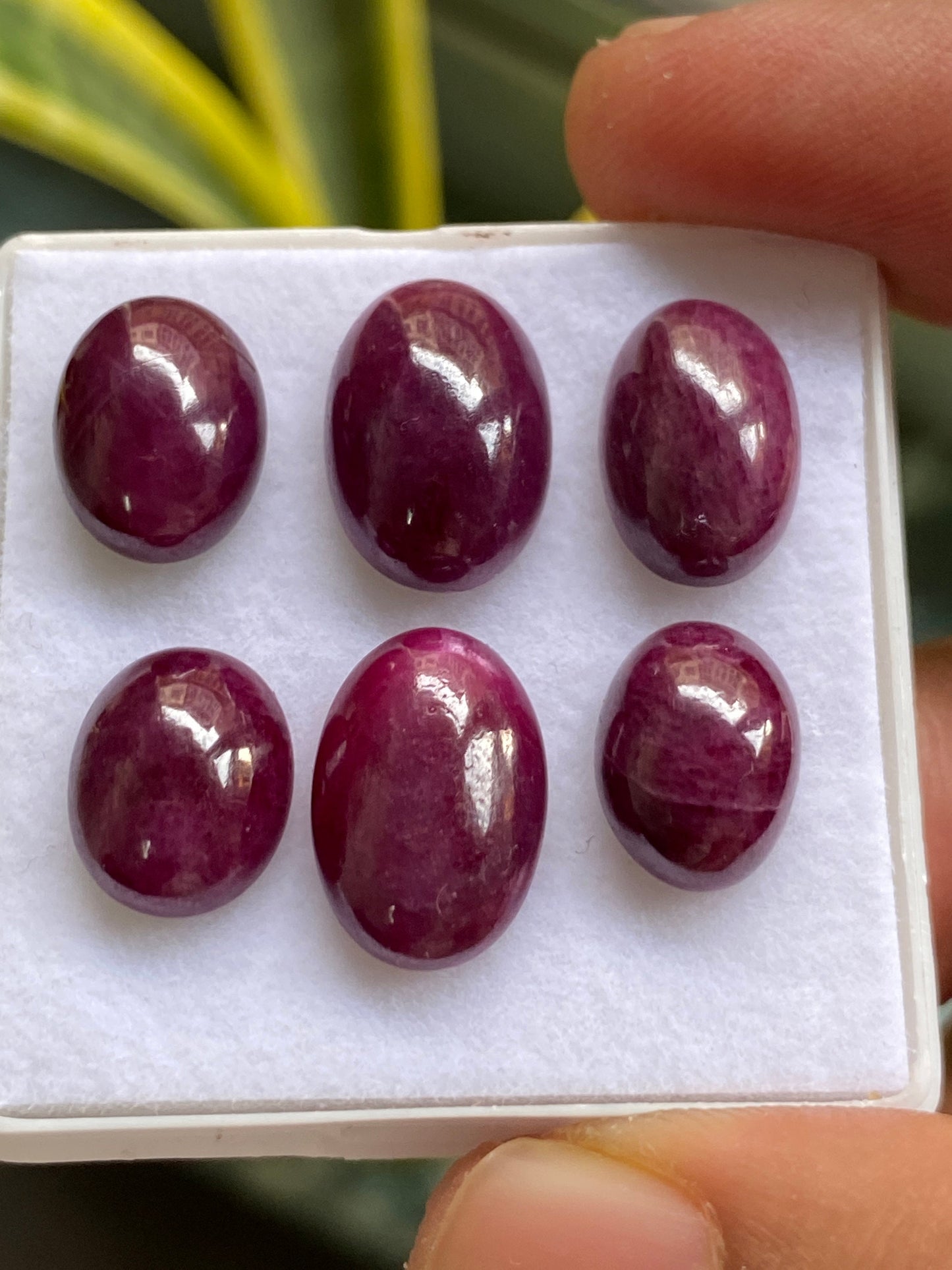 Vivacious very rare natural ruby cabochons tanzania mines lot oval pcs 6 wt 52 carats size 11x9mm-14x10mm unheated untreated ruby cabochon