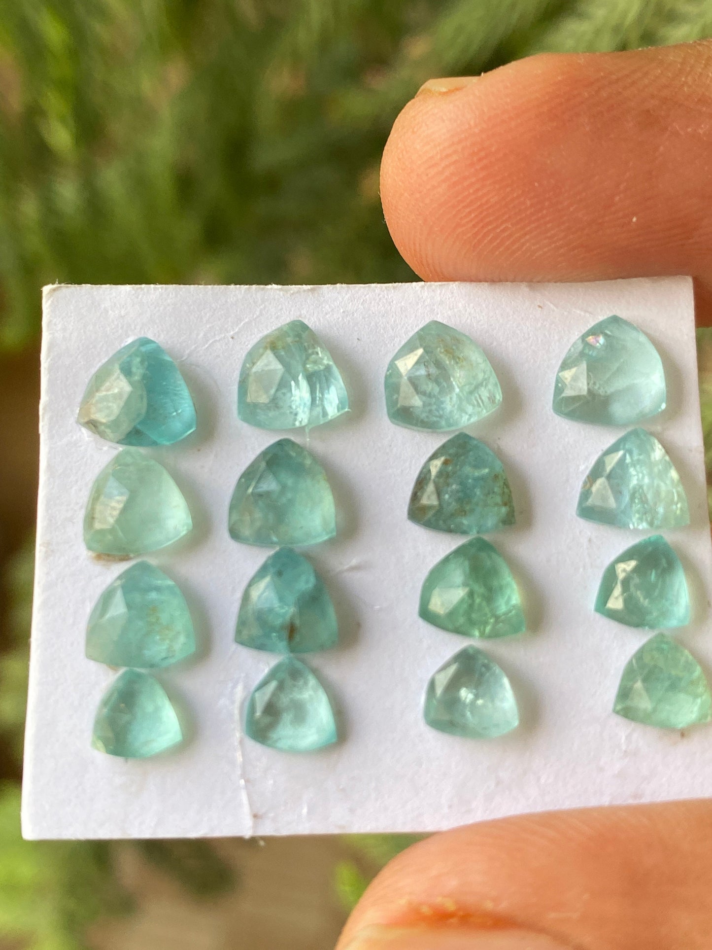 Fabulous Blue green apatite rosecut lot trilliom weight 13.45 carats pcs 16 rosecut blue apatite flats Small size 5mm-6.8mm apatite rosecut