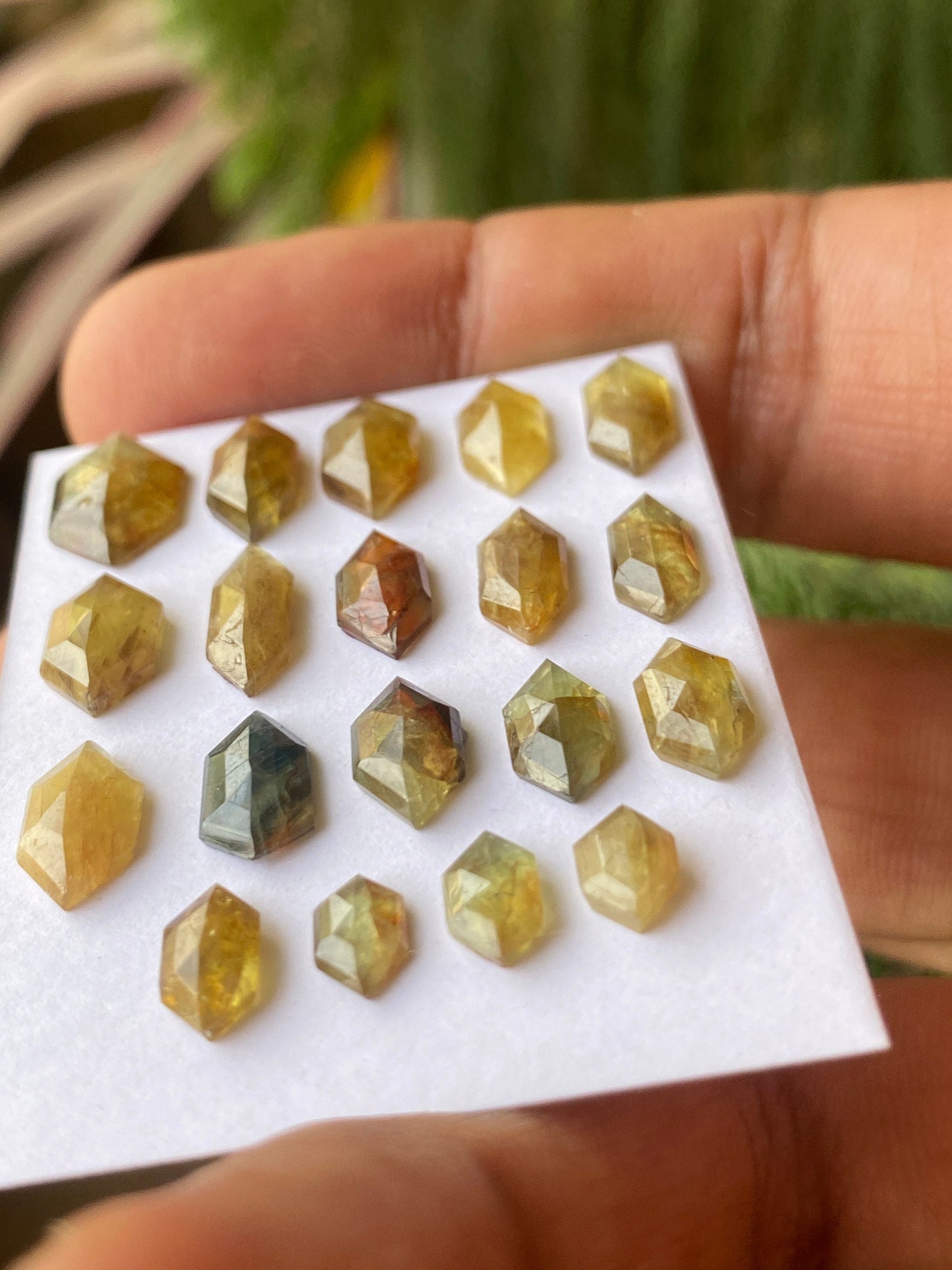 Dazzling very rare Tanzania mines small yellow sapphire Bicolor hexagon geometric wt 26 carats pcs 19 size 6x4.5mm-12.3x8mm sapphire stepcut