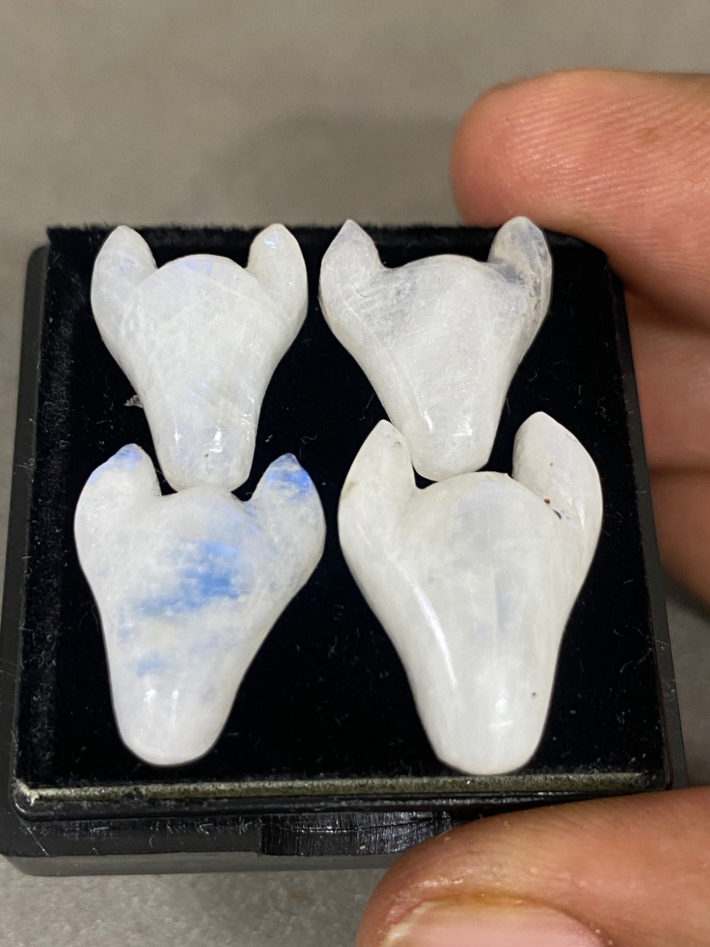 Fascinating rare white moonstone bull head carving  blue fire smooth polished carving pcs 4 wt 41 cts size 16x12-20x14mm moonstone bull head