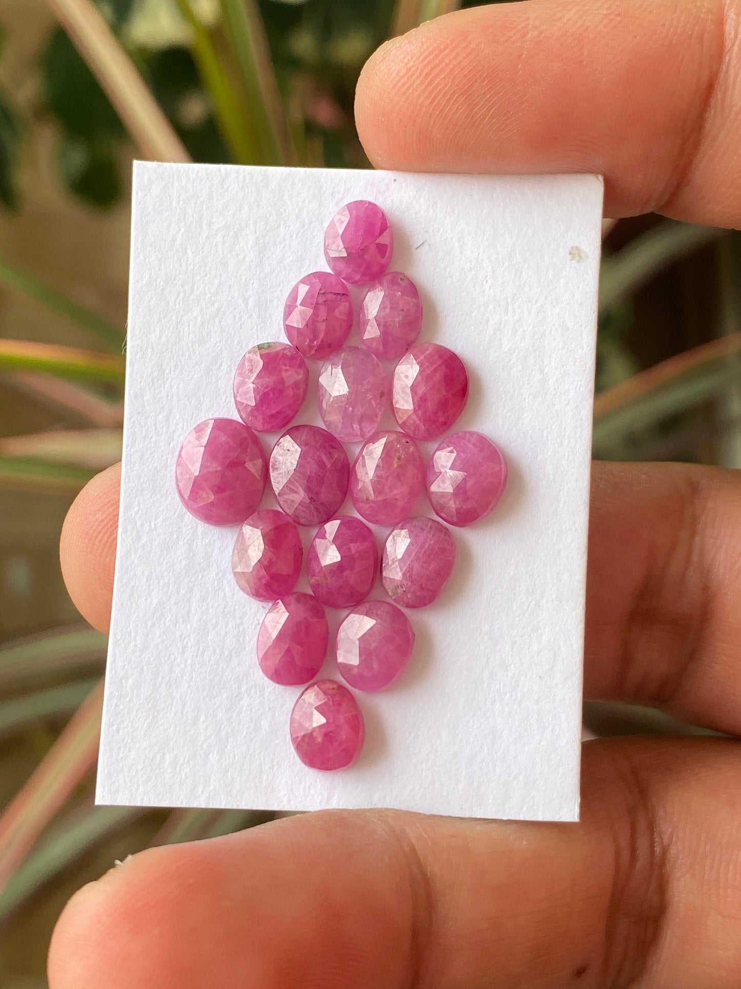 Exquisite very rare natural ruby rosecut lot  oval shapes mozambique pcs 16 wt 24 cts size 6.8x5.5mm-8.8x7.4mm unheated ruby rosecut