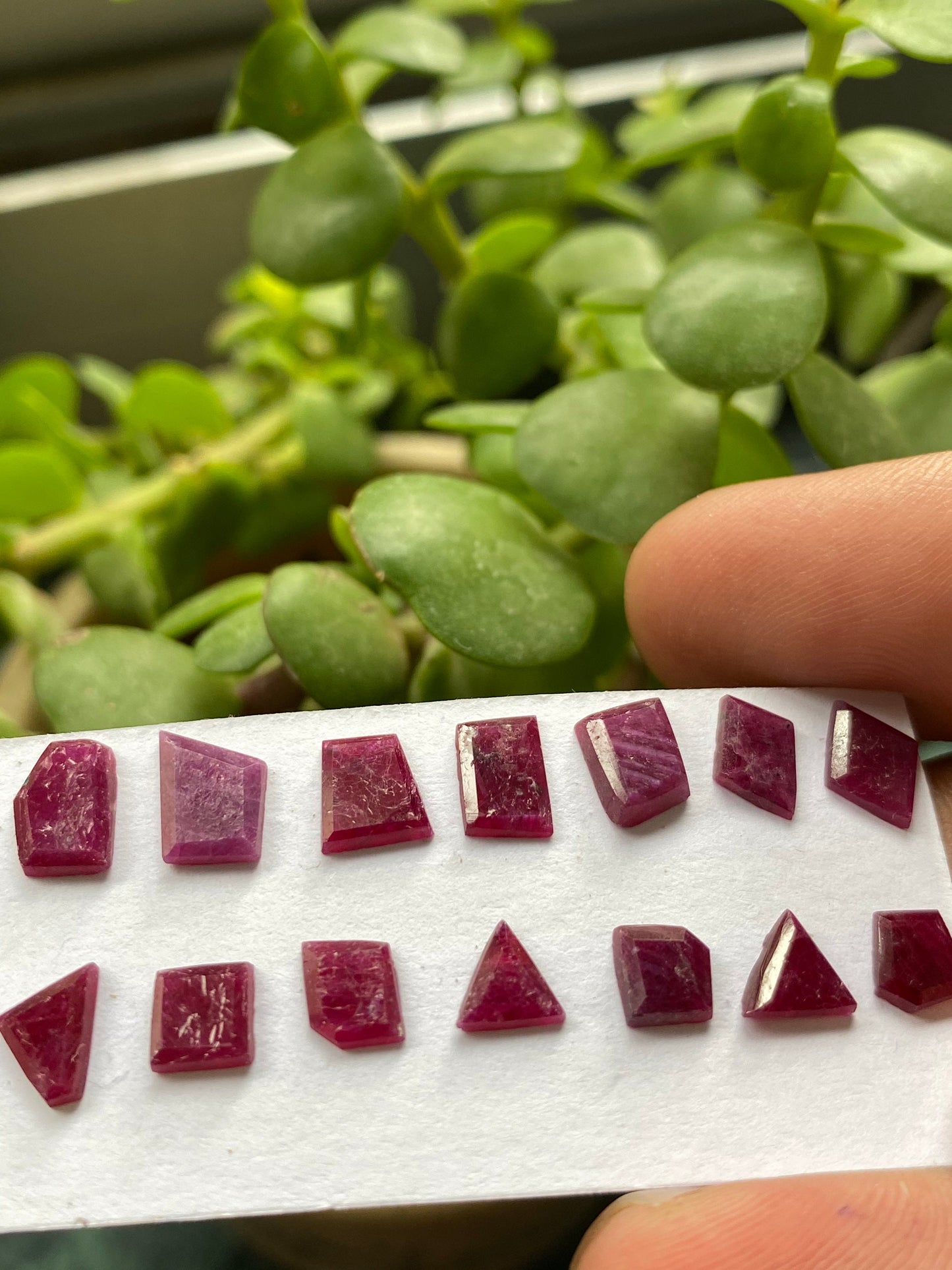 Fascinating ruby flats step cut side faceted flats wt 11 carats  pcs 14 size 5.4x5.3mm-8x5.8mm natural unheated untreated ruby