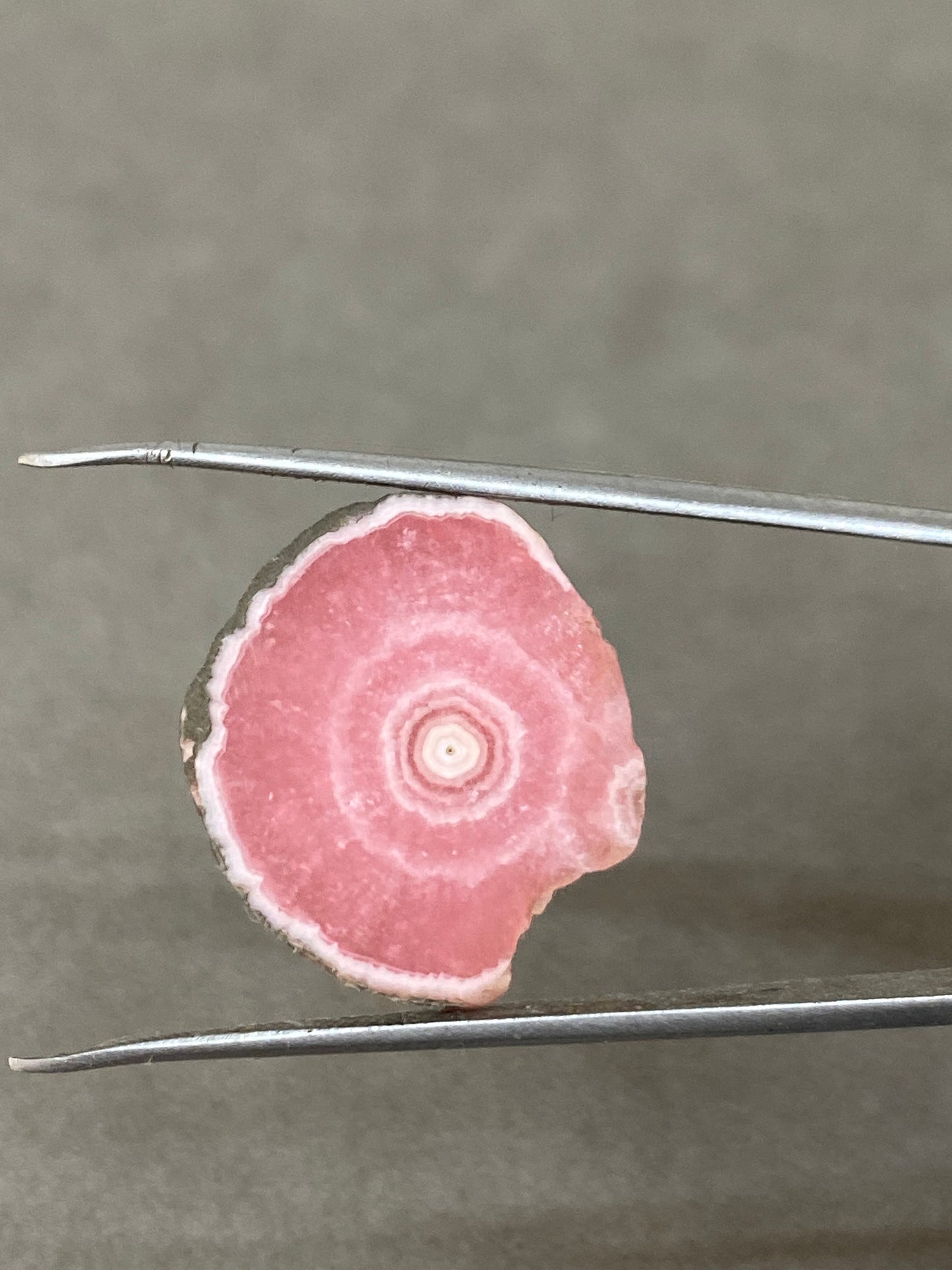 Aaa quality rhodochrosite slice watermelon smooth polished wt 16 carats size 23x19mm one of a kind very rare