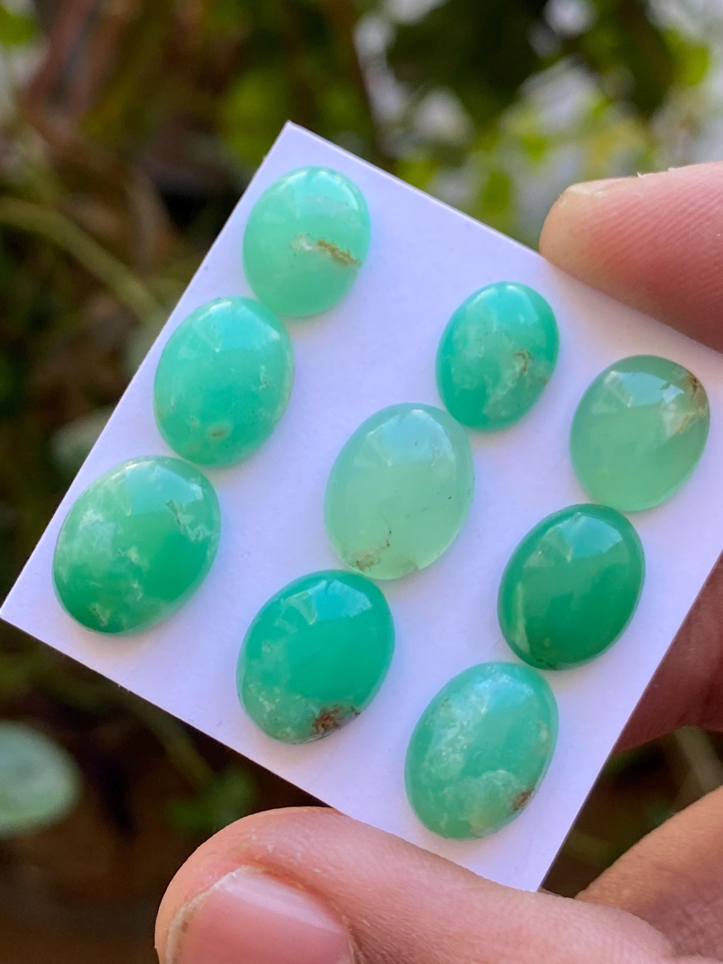 Rare stunning chrysoprase oval cabochons aaa fine quality pcs 9 weight 35 carats size 10.7x8.5mm-12.8x9.4mm chrysoprase rosecuts