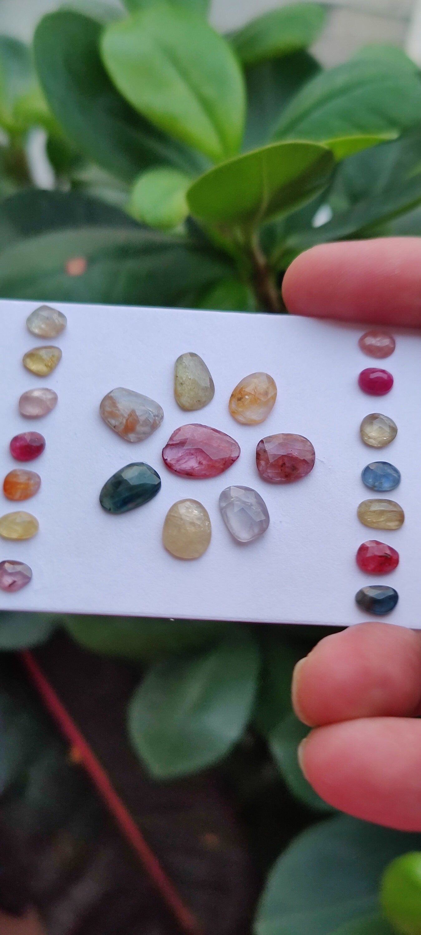 Vibrant rare unheated multi sapphire rosecut lot weight 28 pcs 22 Size 6.3x4.6mm-12.8x9.6mm amazing colors natural sapphires