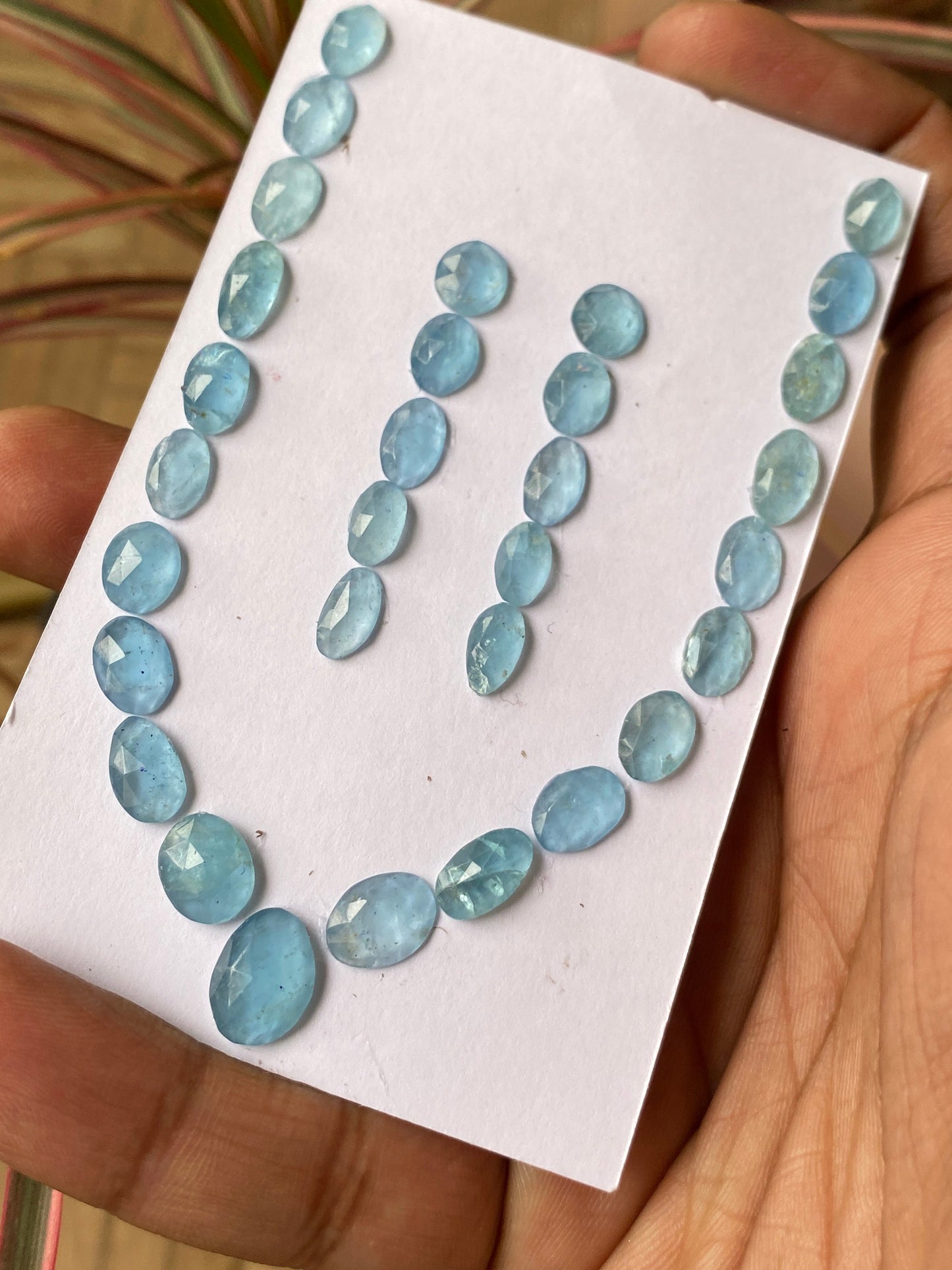 Stunning aquamarine rosecut necklace earring set natural aquamarine cabochons weight 39 carats pcs 31 size 6.7x5.5-10.5x8.8mm aquamarine