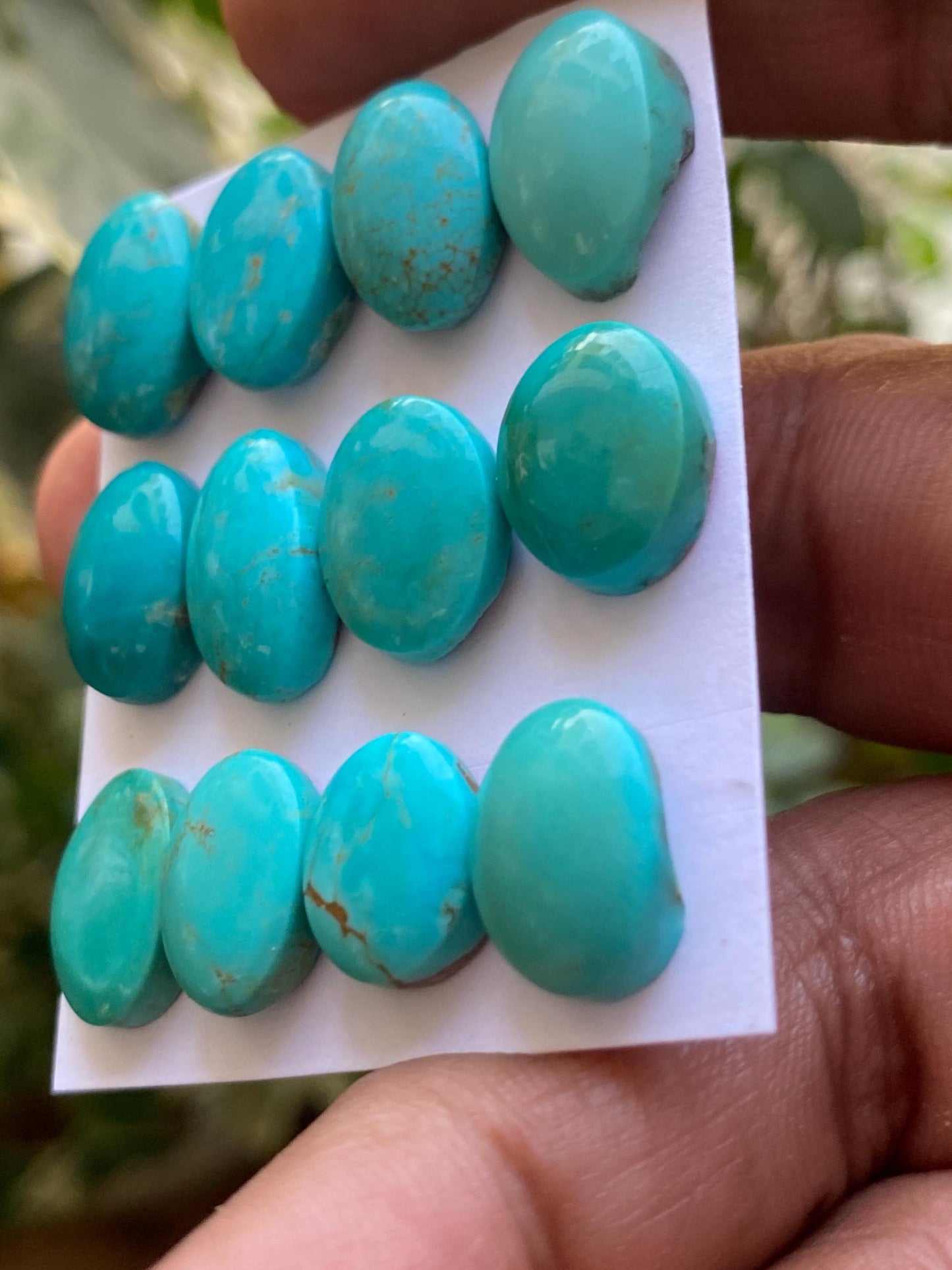 Mesmerising rare Arizona  mines Turquoise cabochons  natural smooth polished ovals pcs 12 wt 67 carats 12x10mm-16x11mm turquoise cabochons