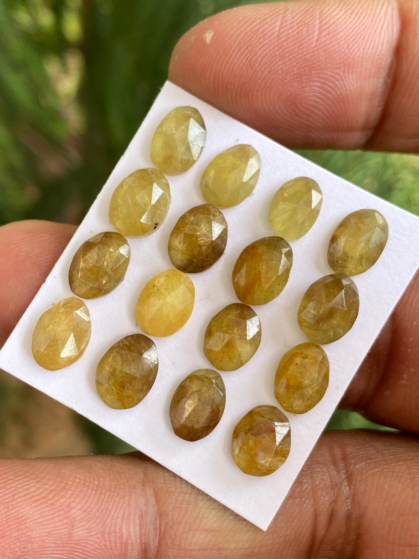 Stunning very rare Tanzania mines yellow sapphire Bicolor rosecut  wt 28 carats pcs 16 size  7x6-8.5x7mm sapphire rosecut gems