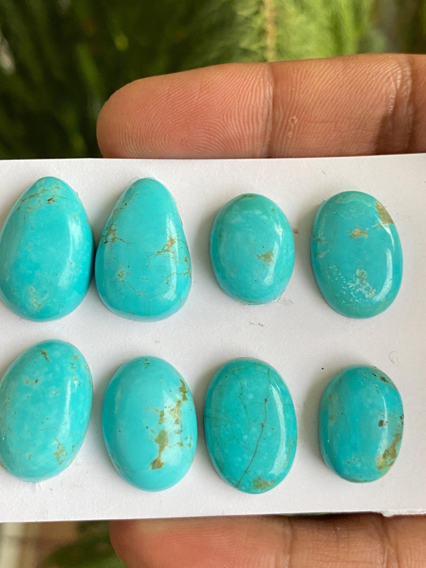 Stunning rare Arizona mines Turquoise cabochons  natural smooth polished ovals pcs 8 wt 91 carats 17x12-22x14mm turquoise cabochons oval