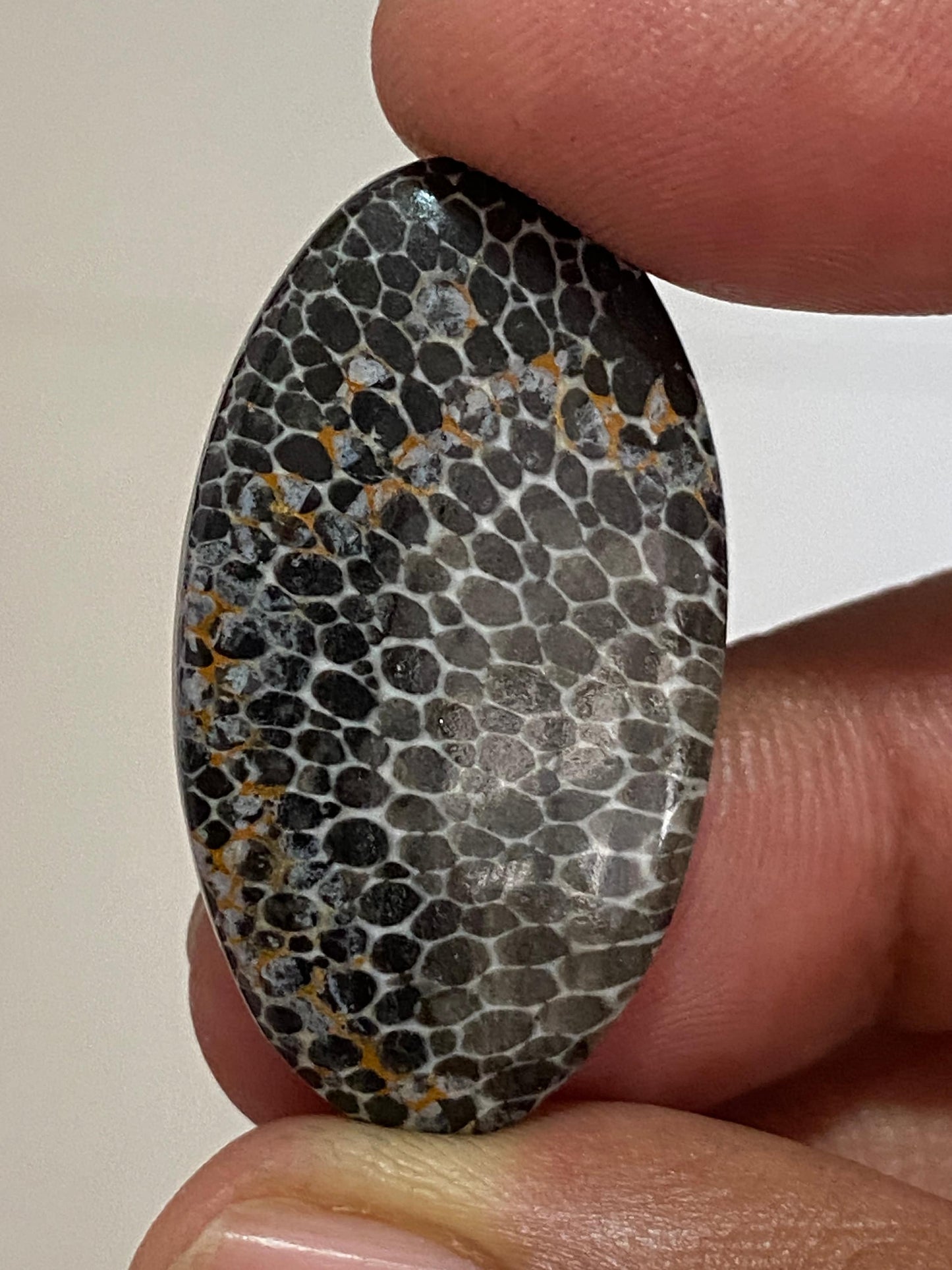 Rare Snake black fossil coral wire wrap supply black fossil coral cabochon oval pear cabochon pendant supply