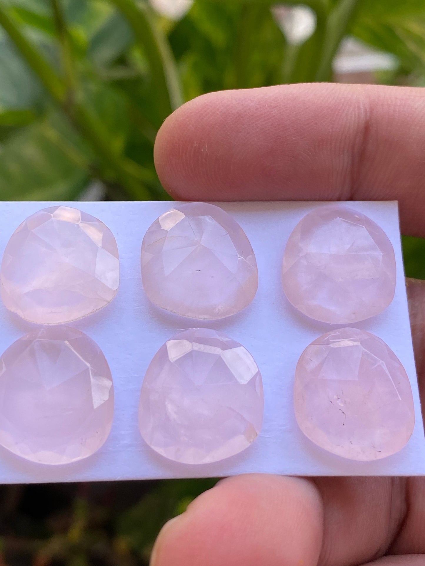 Dazzling rosequartz rose cut lot fancy oval fine quality weight 48 carats pcs 6 size 16.5x14.7mm rosecut rose quartz