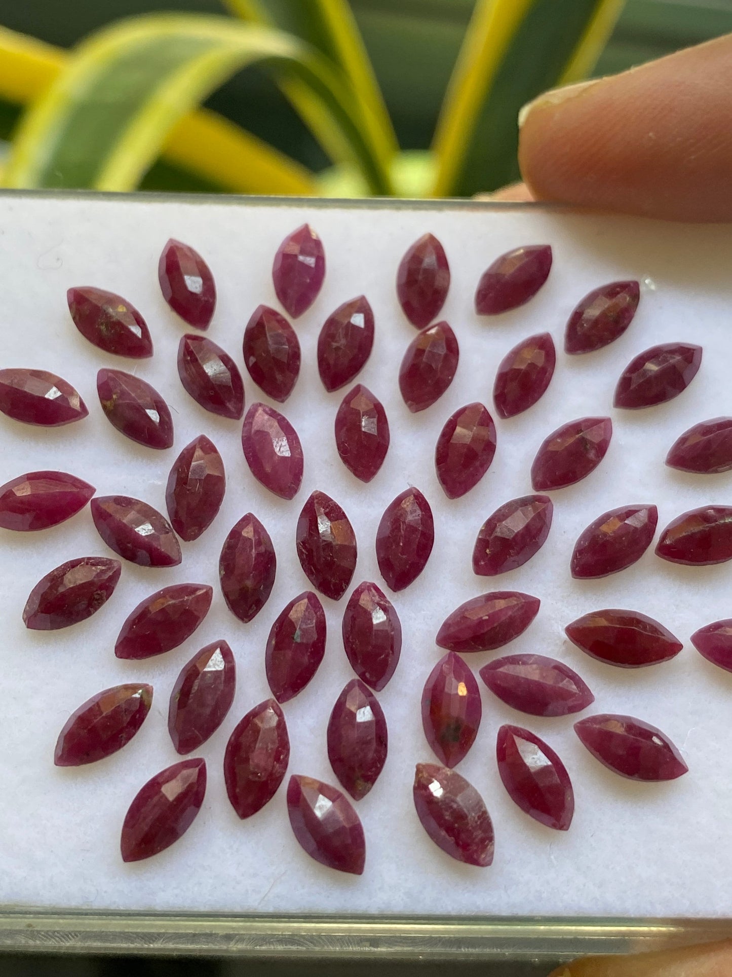 Vivacious Rare Natural  ruby marquees cut small size 7.9x4.3mm-8.3x4.3mm weight 36 carats Natural ruby marquees cut unheated untreated ruby