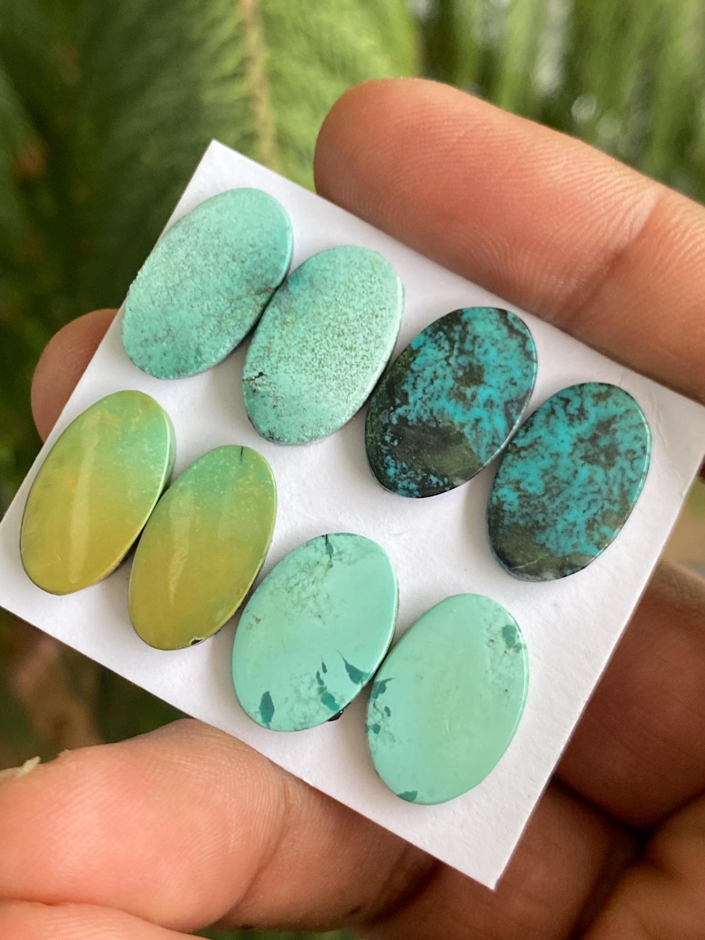 Awesome Turquoise pairs natural hubei mines smooth polished cloud mountain pcs 8 wt 42.40 carats 17x12-18x11mm turquoise earrings supply